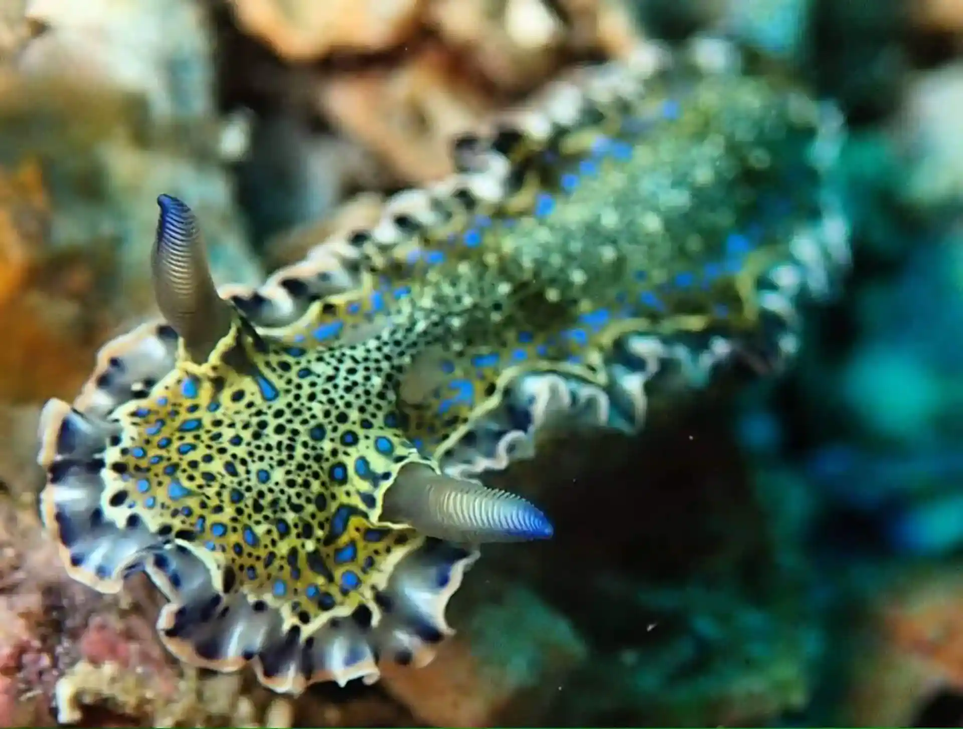 Dive site photo