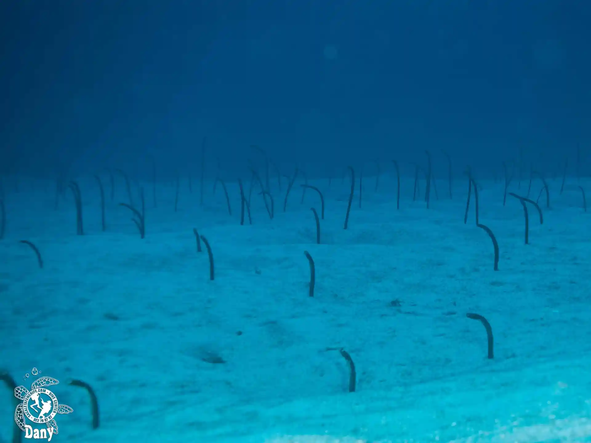Dive site photo
