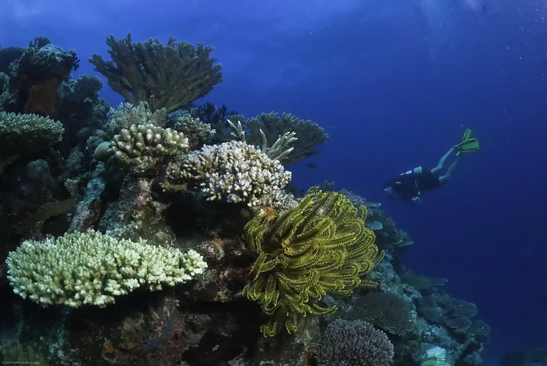 Dive site photo