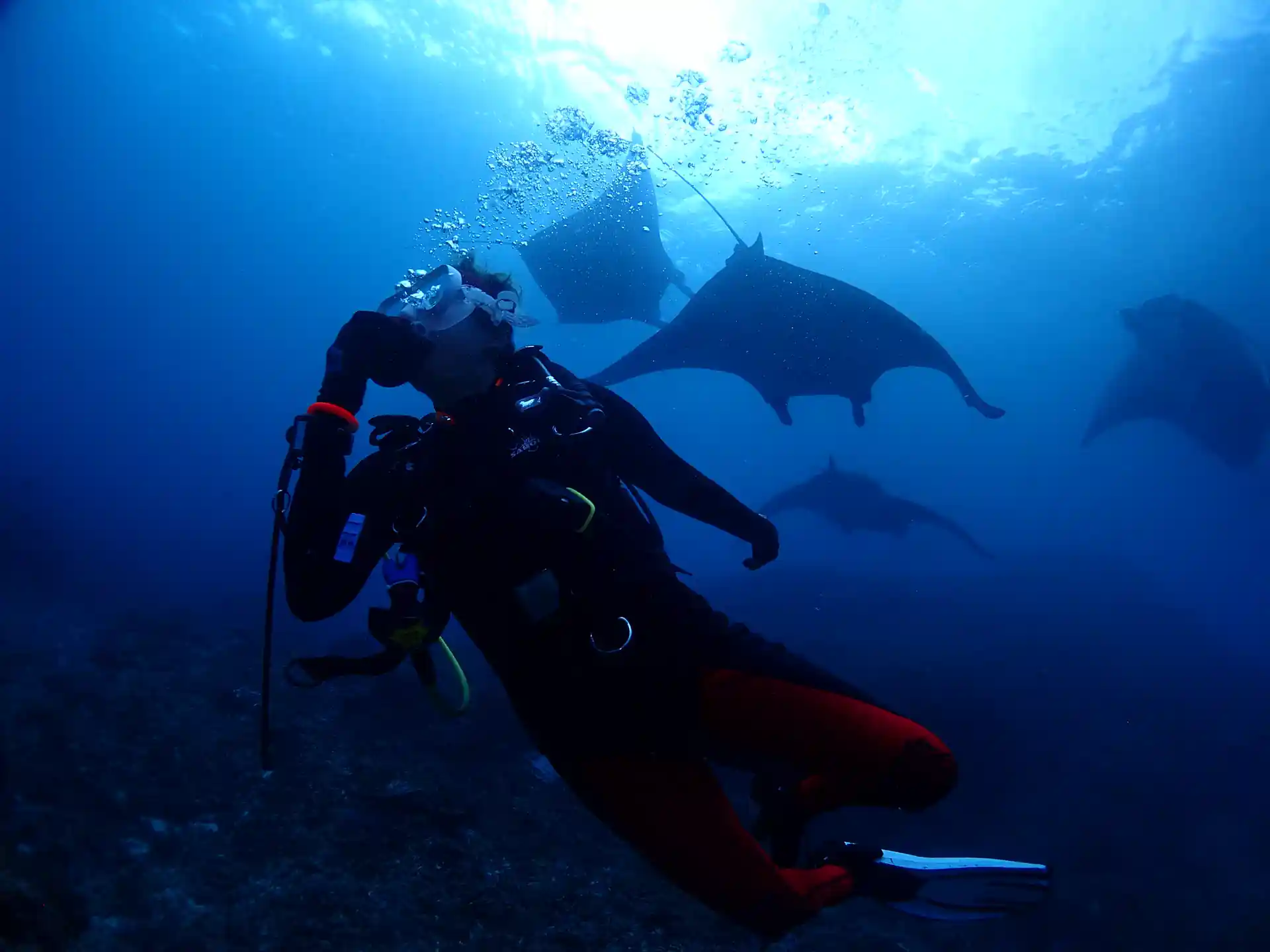 Foto de la actividad