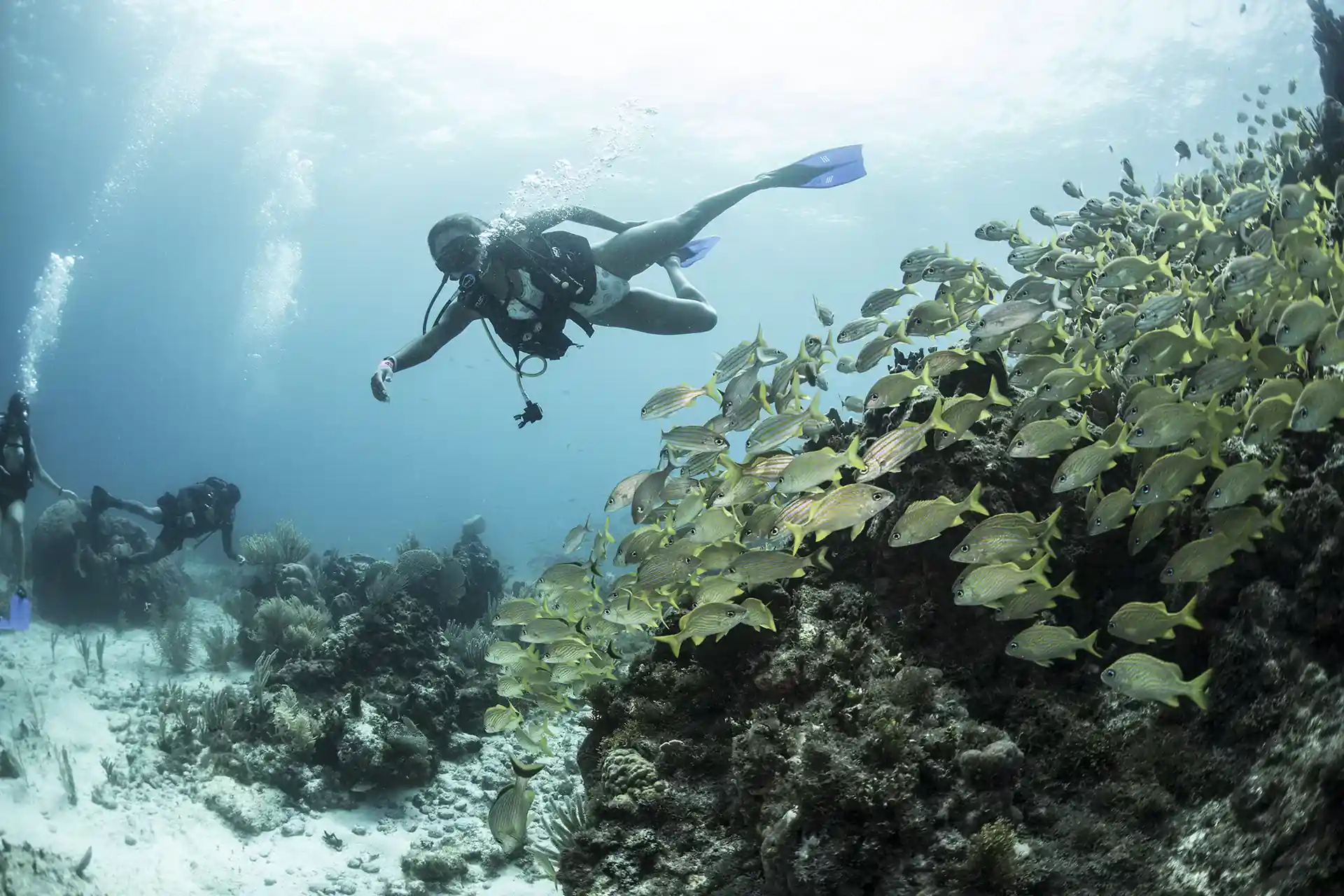 Dive site photo