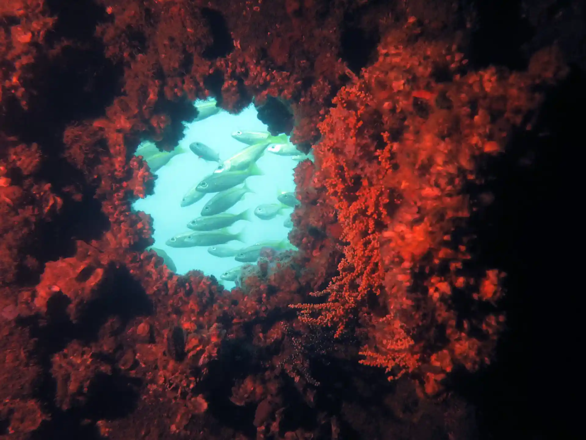 Photo de l'activité