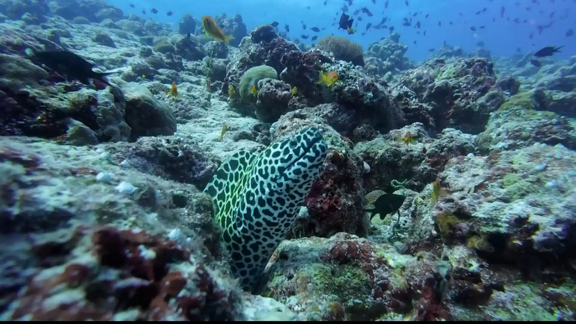 Dive site photo
