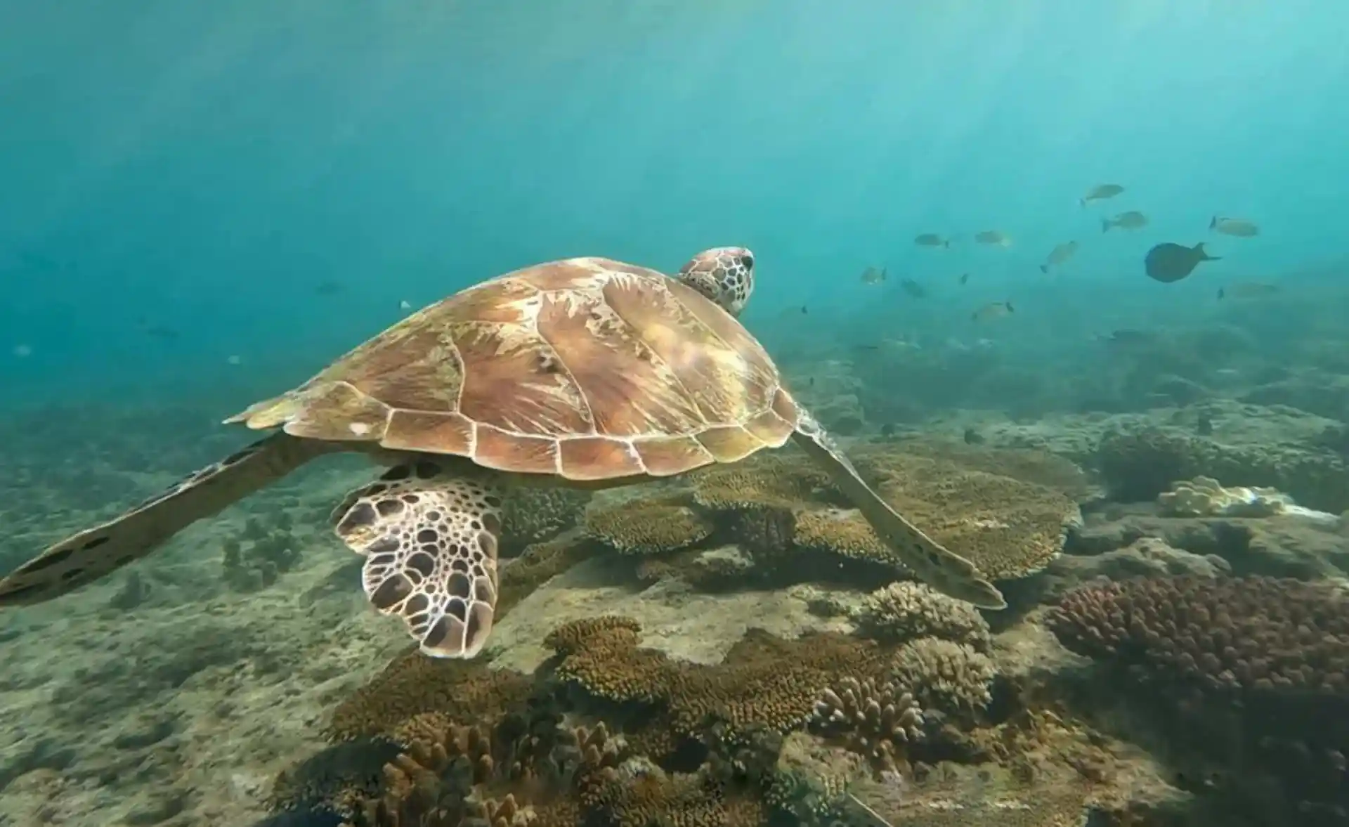 Dive shop photo