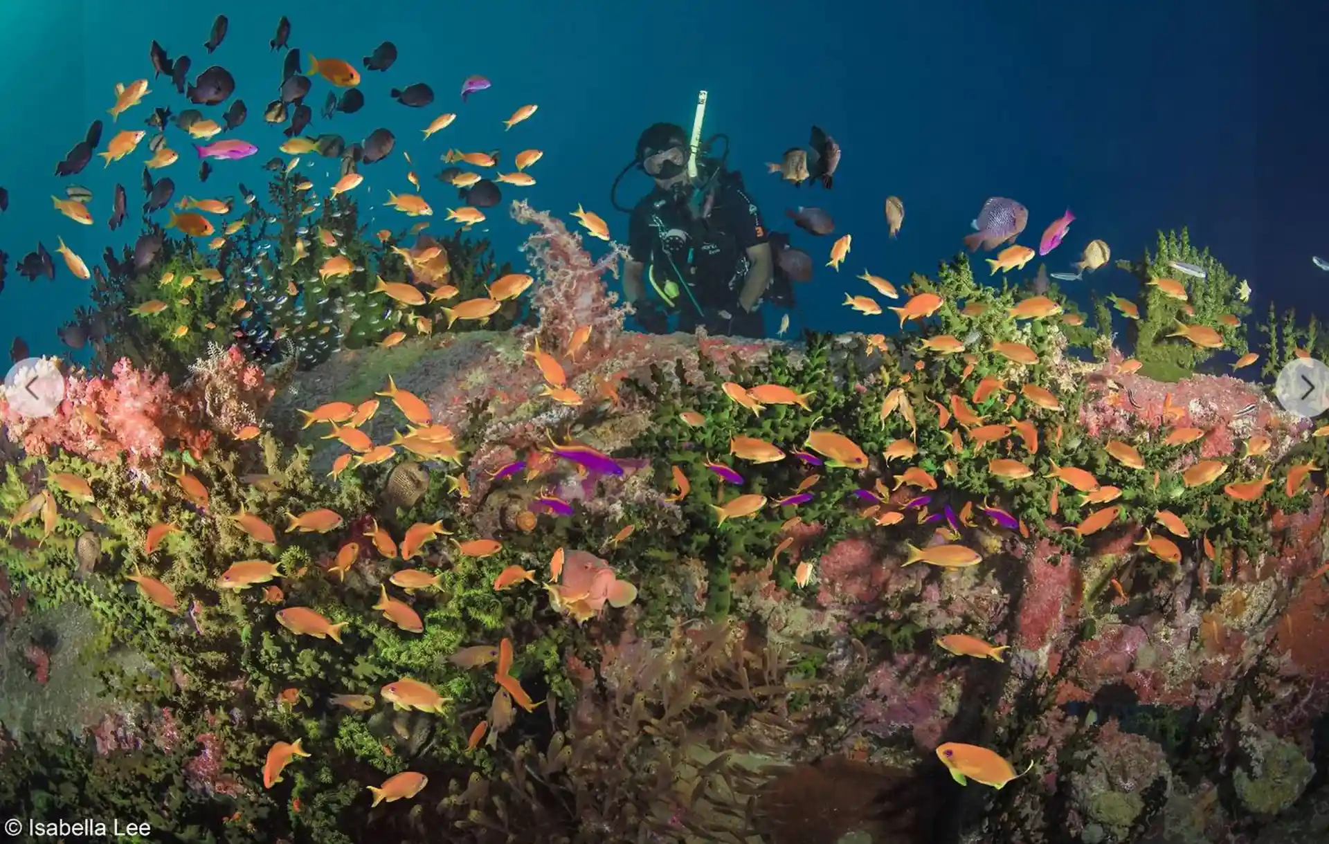 Dive shop photo