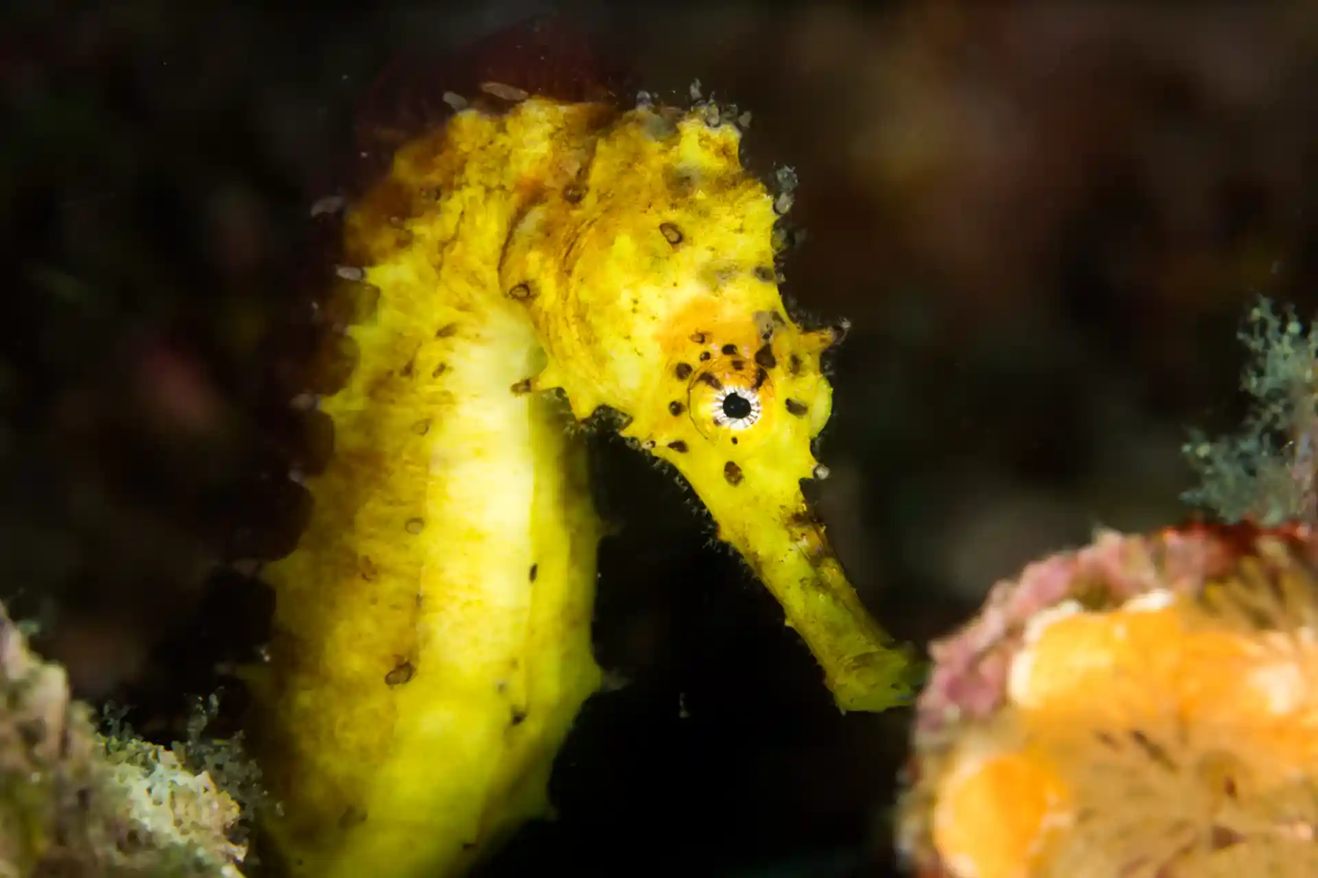 Dive site photo