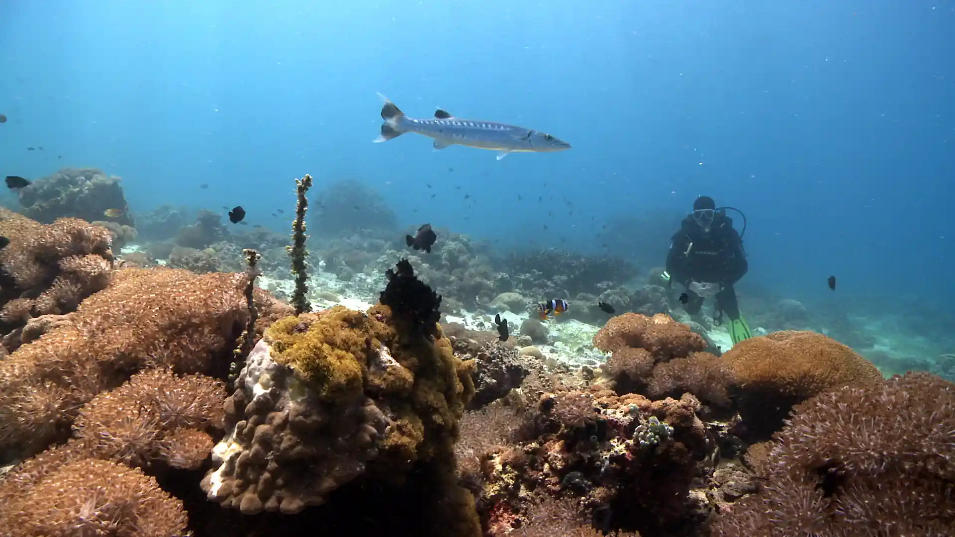 Dive site photo
