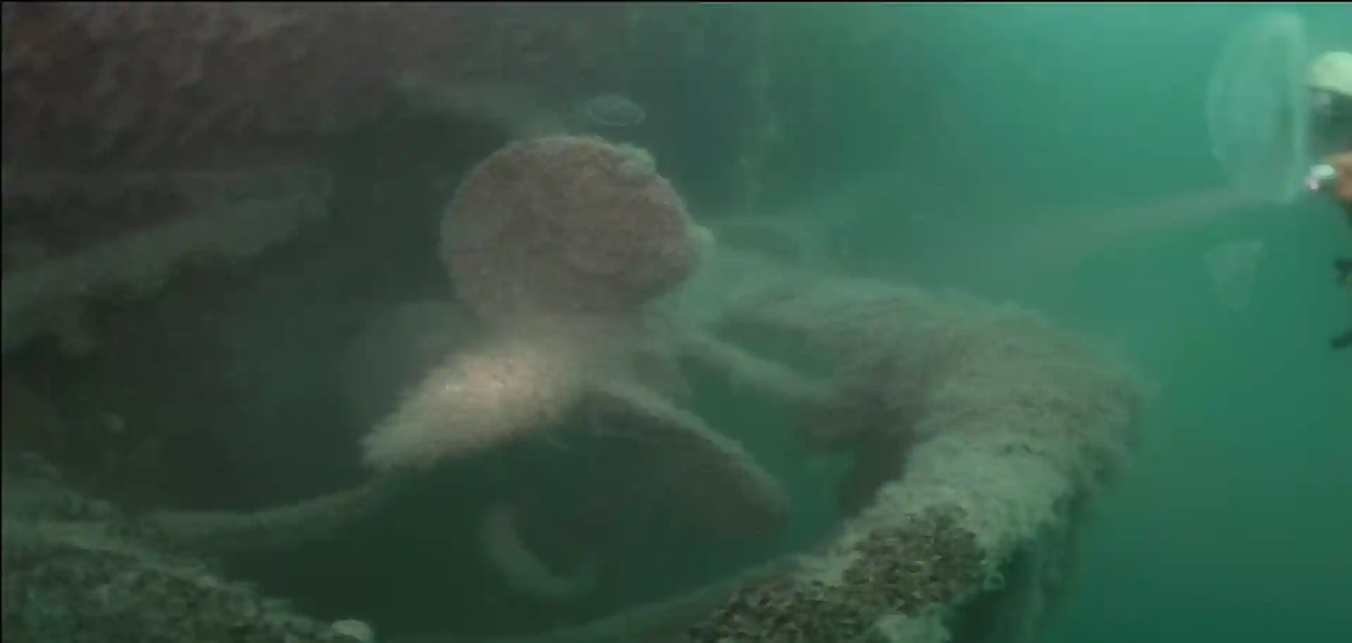 Dive site photo