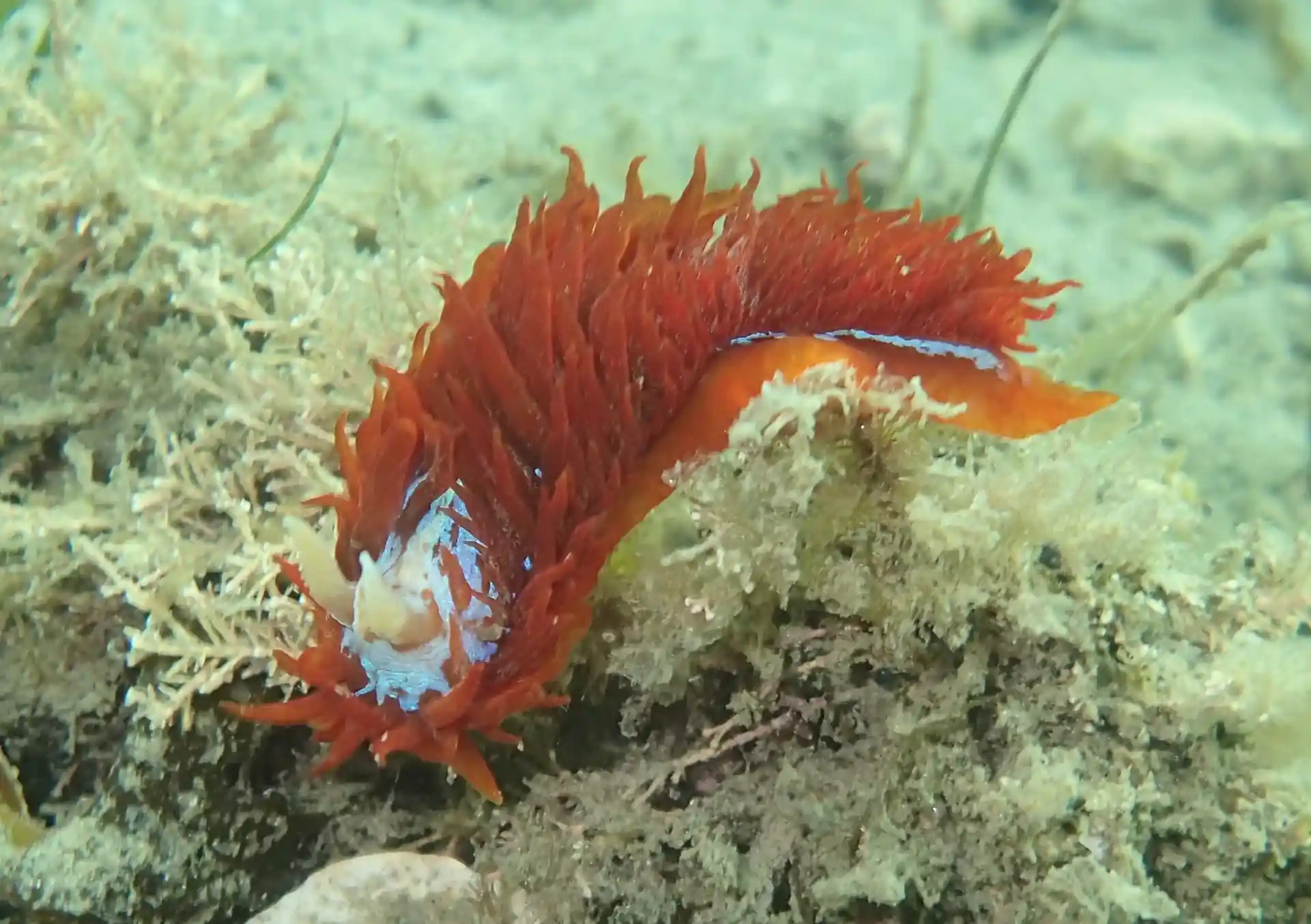 Dive site photo