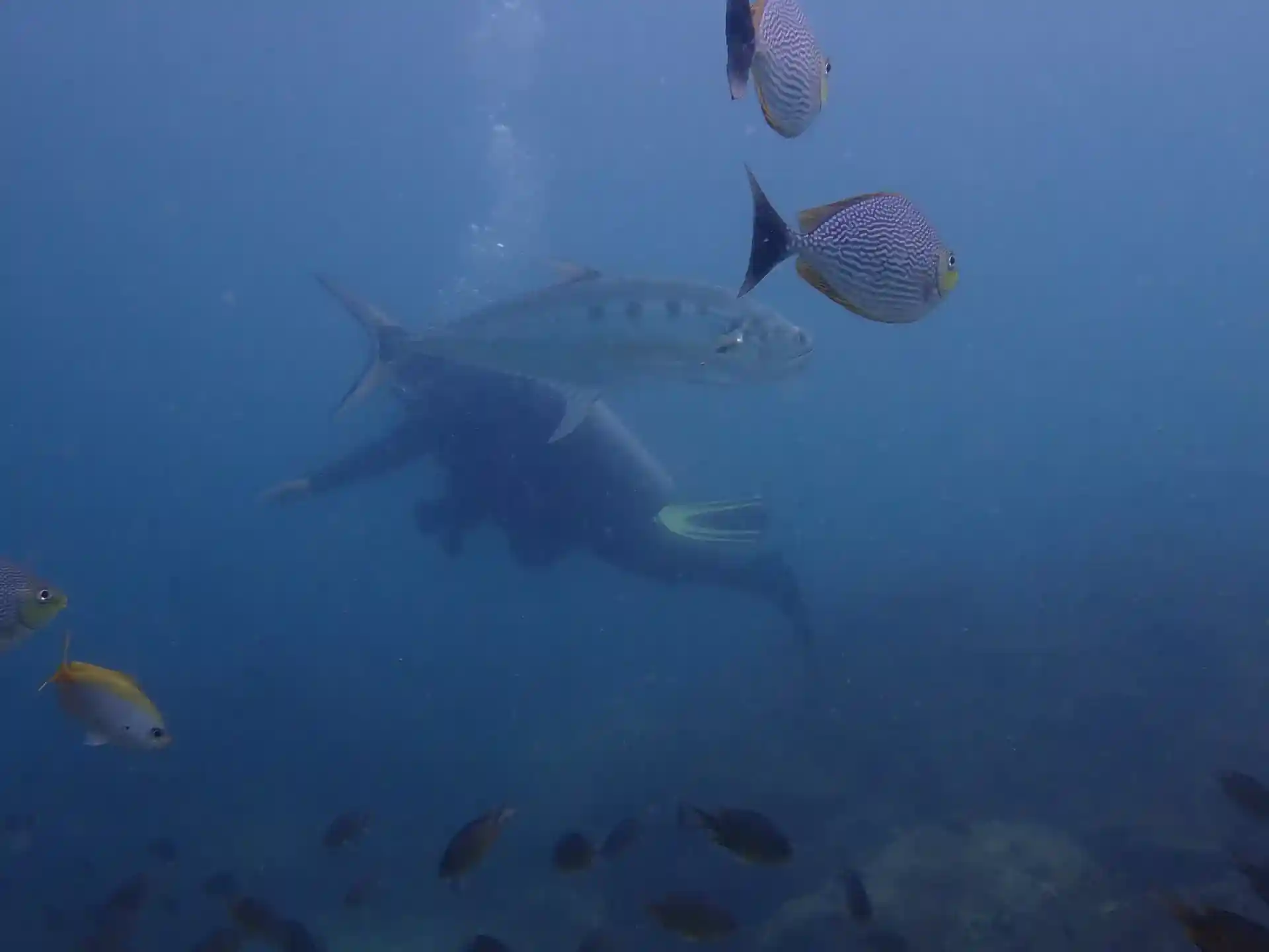 Dive site photo