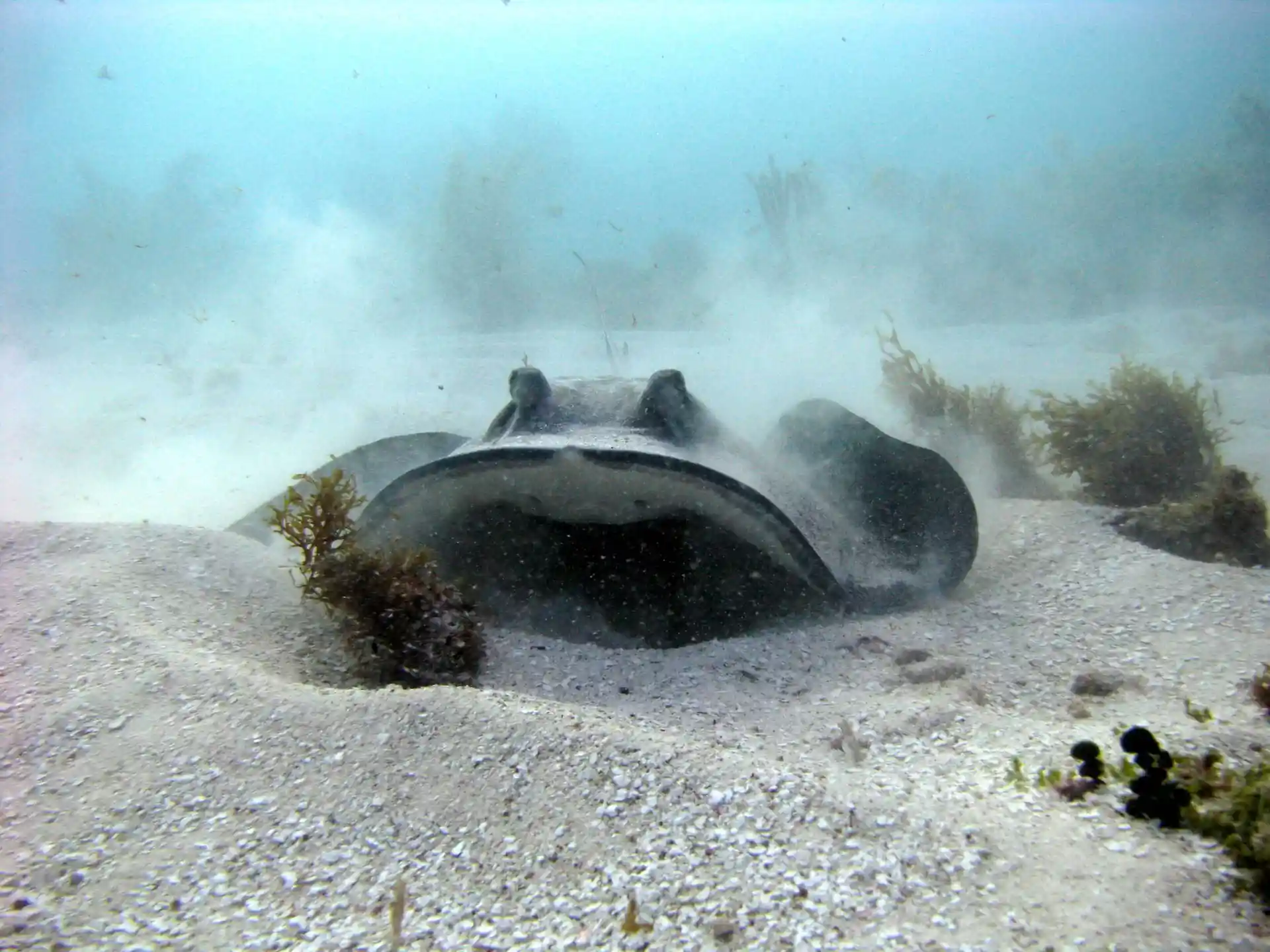 Dive shop photo