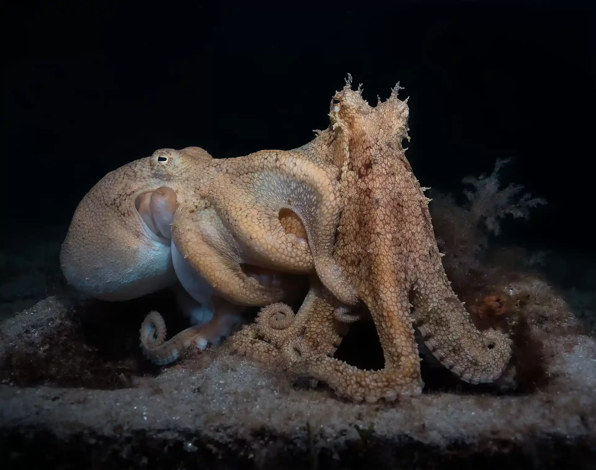 Dive site photo
