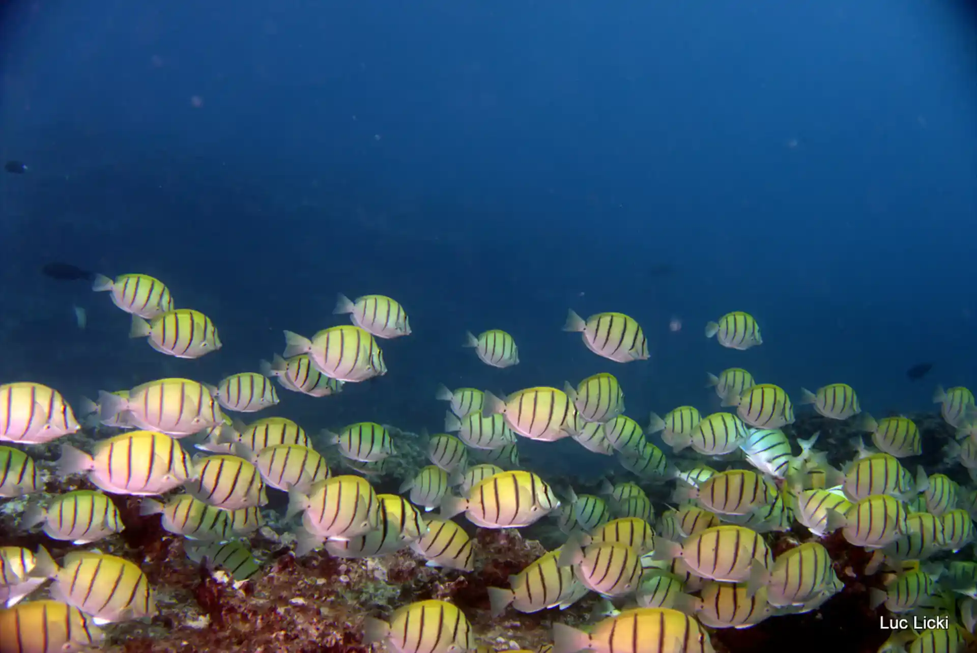 Photo de l'activité