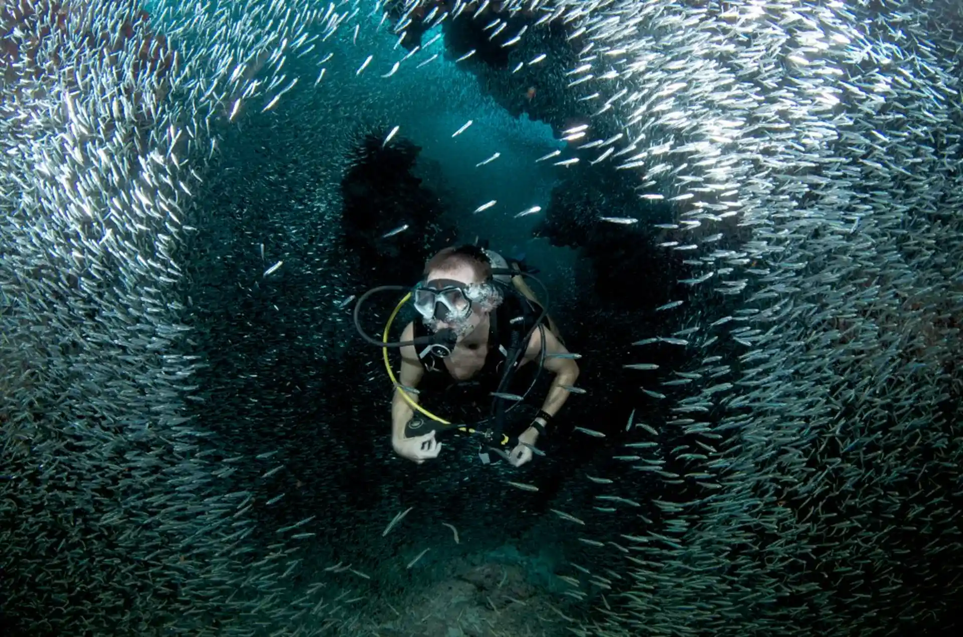 Dive shop photo
