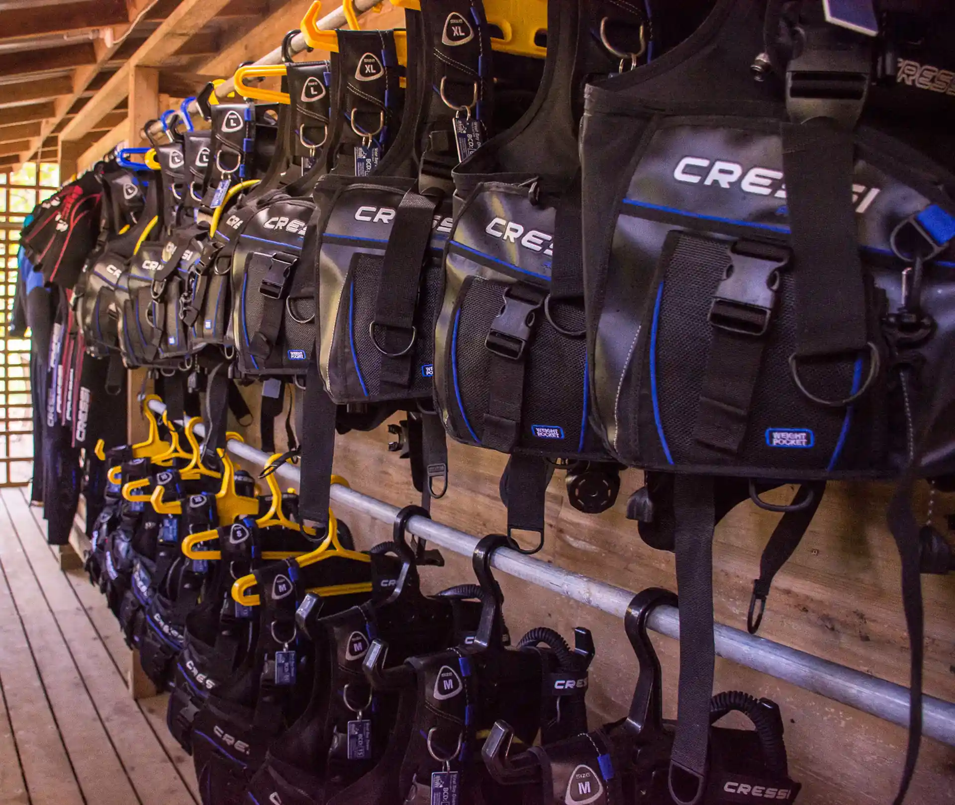 Foto de la actividad