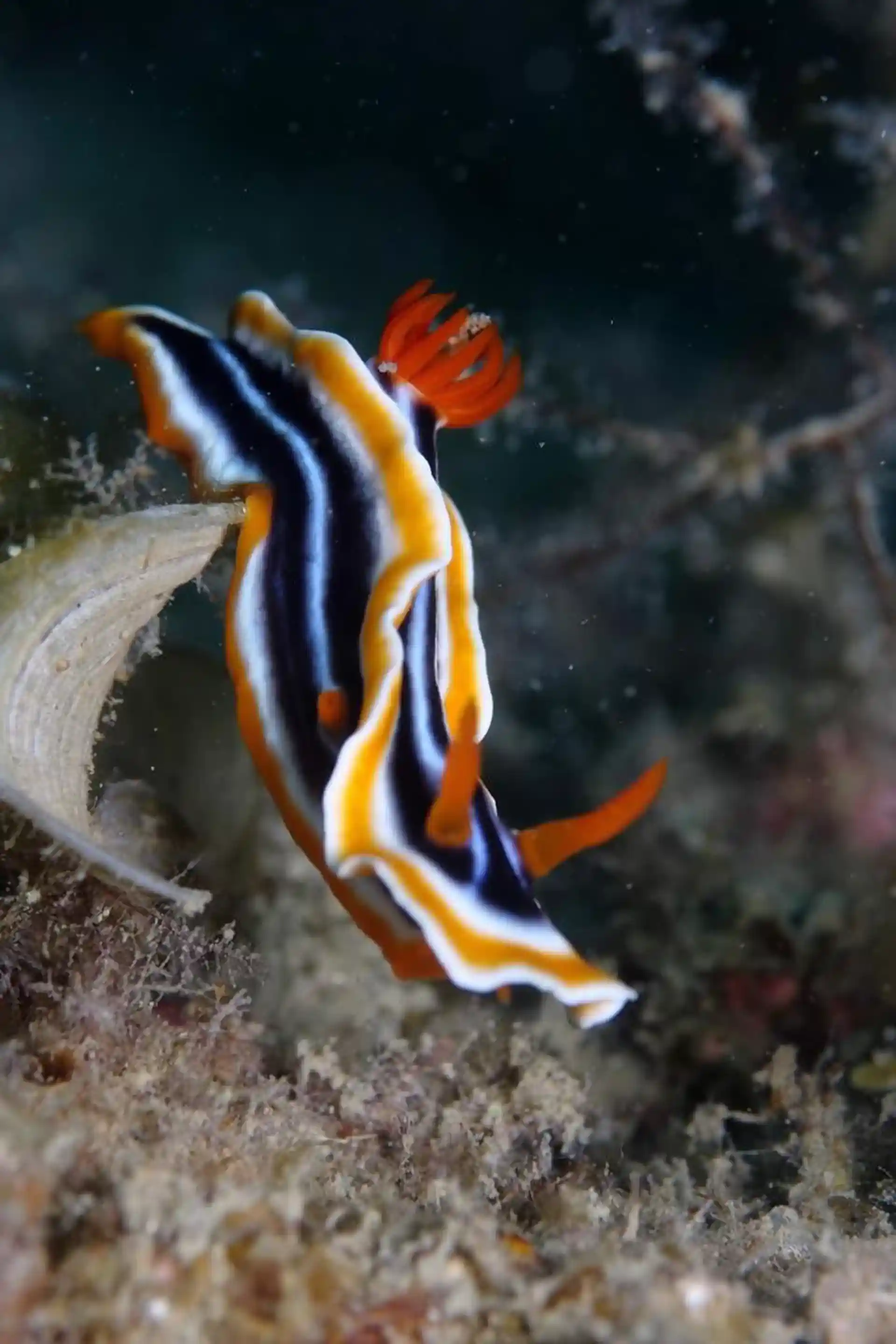 Foto des Tauchplatzes