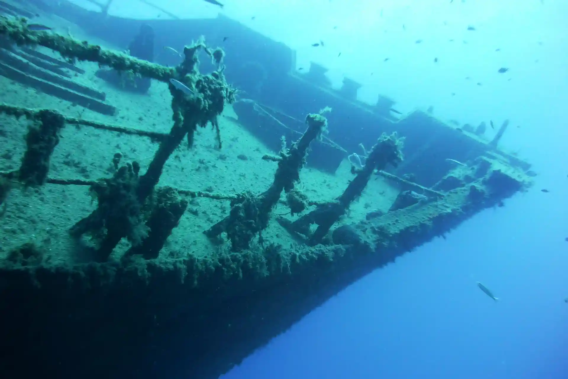 Dive shop photo