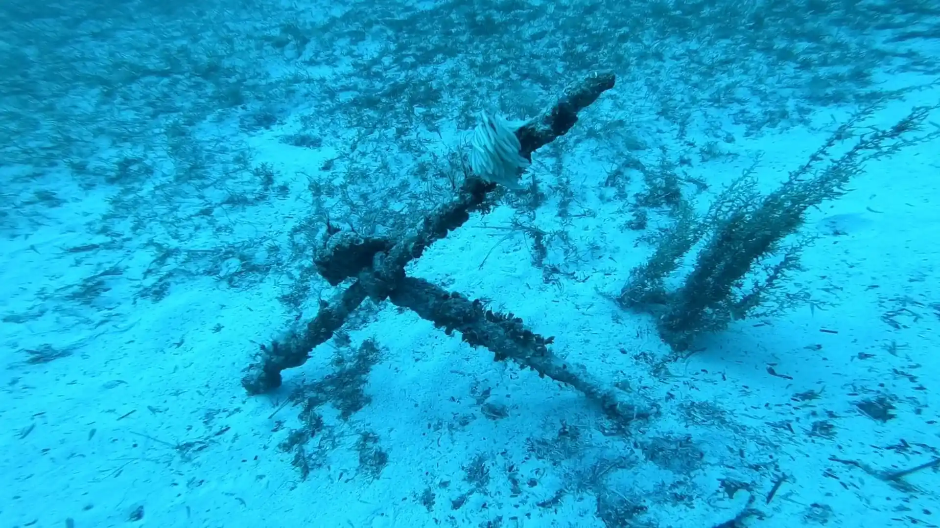 Dive site photo