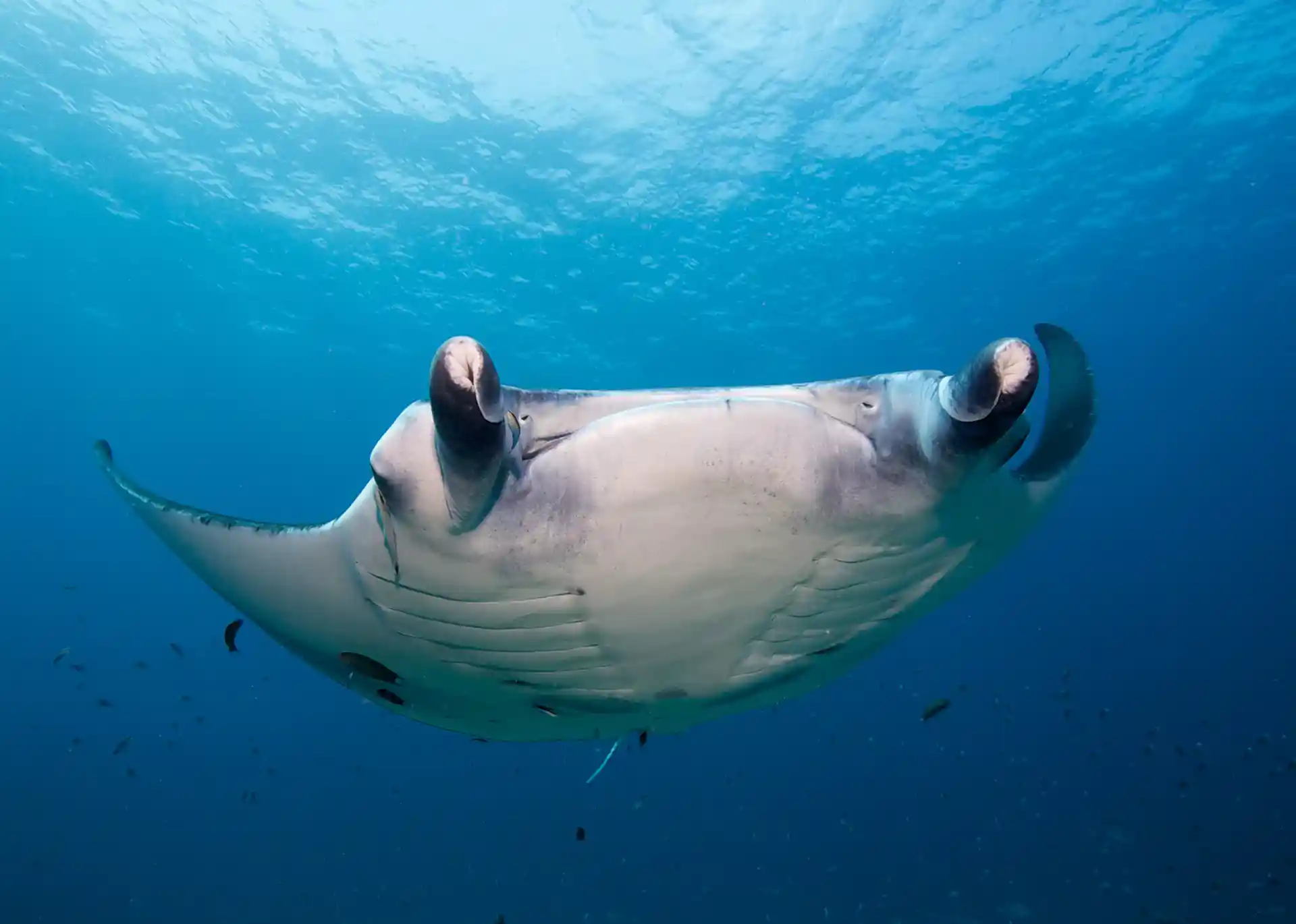 Dive shop photo