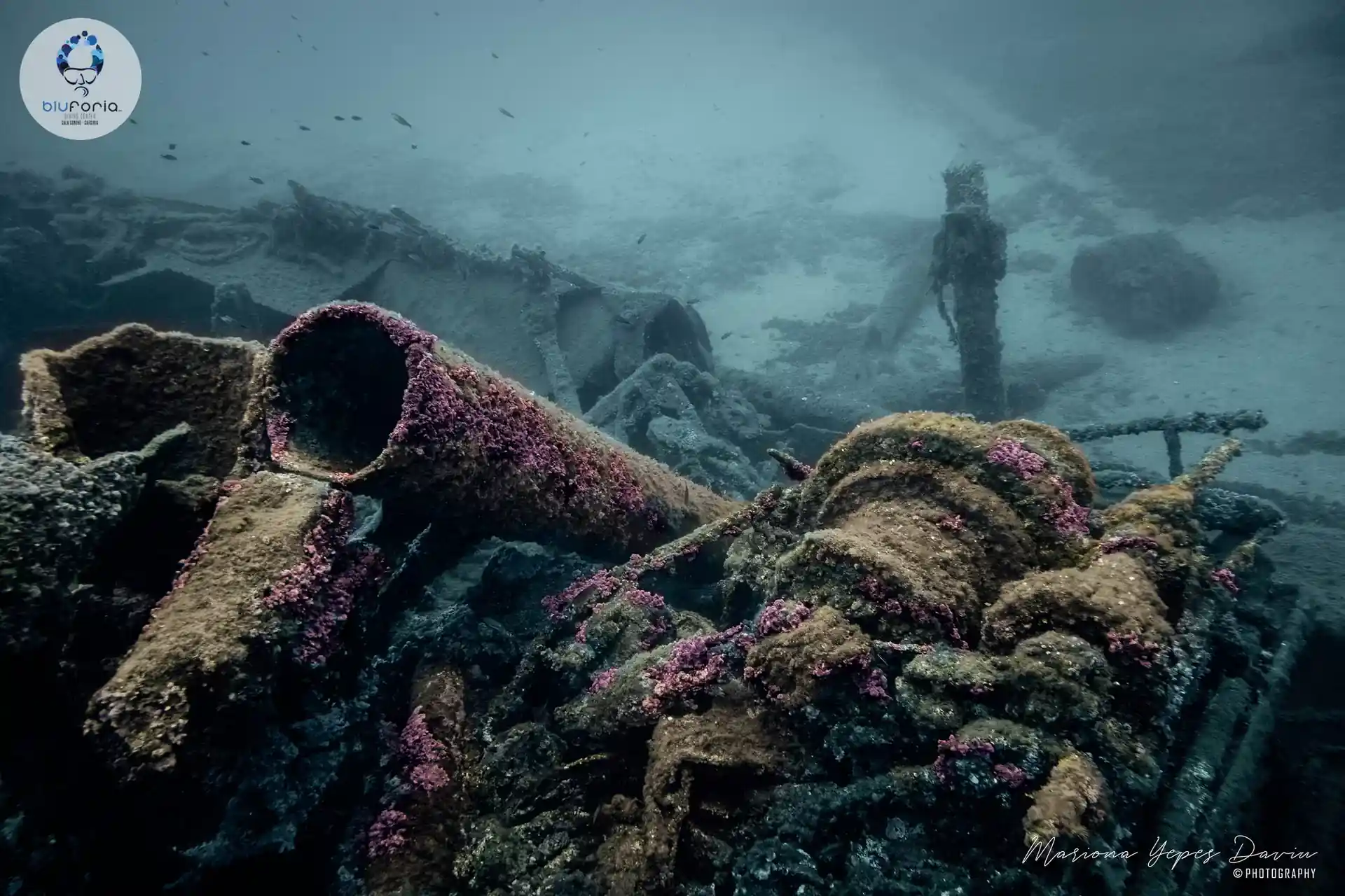 Dive shop photo