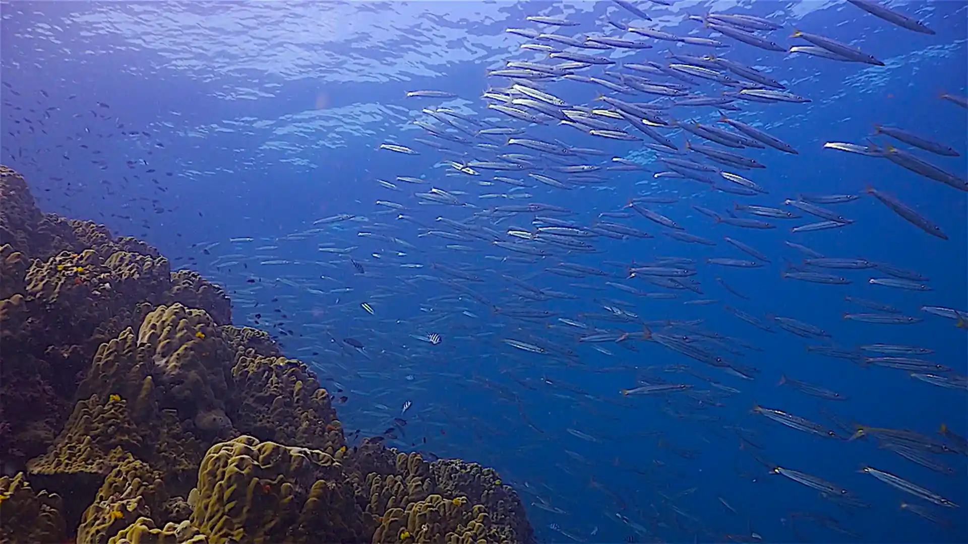 Foto del sitio de buceo