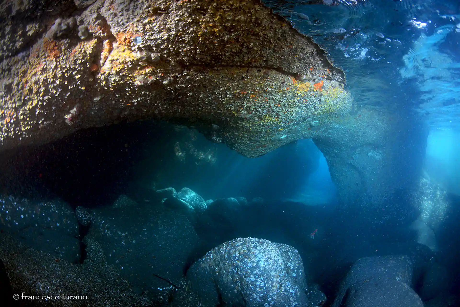 ダイビングサイトの写真