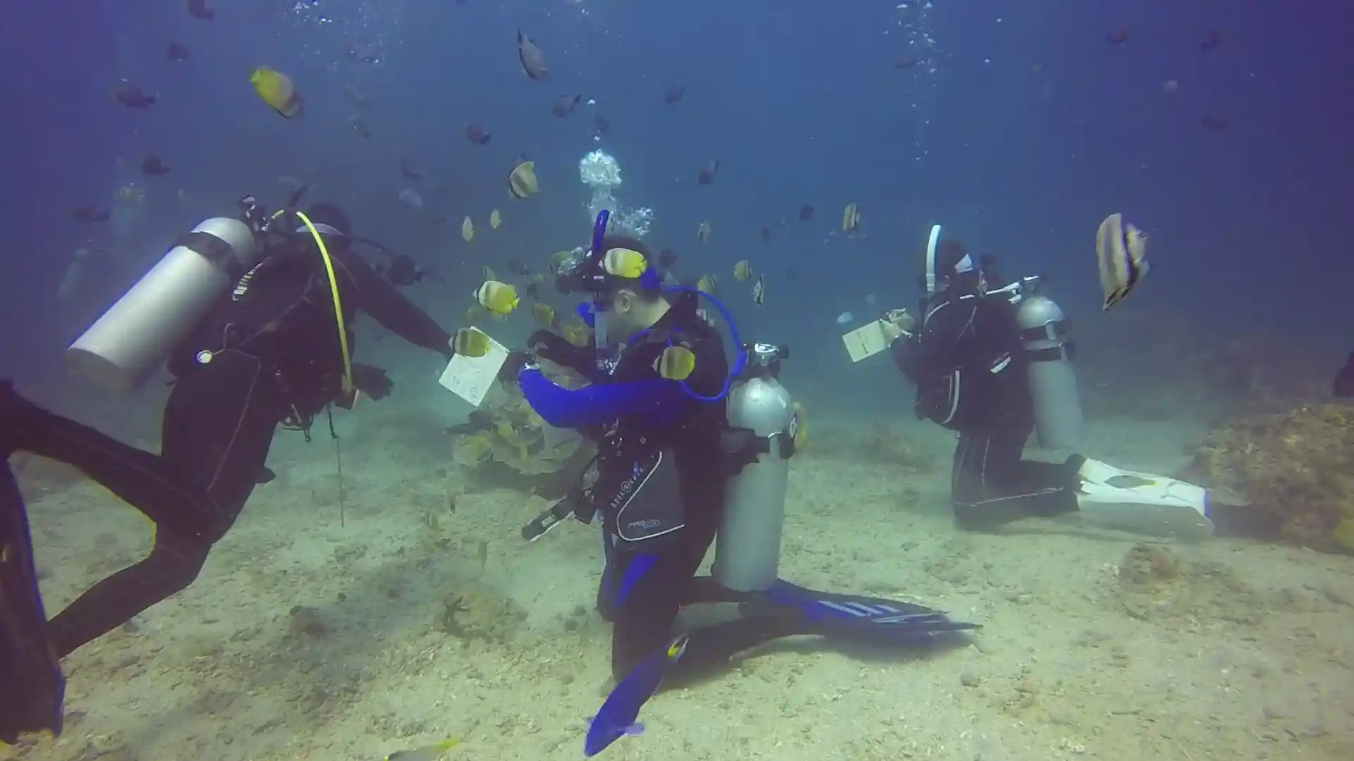 Underwater Navigation