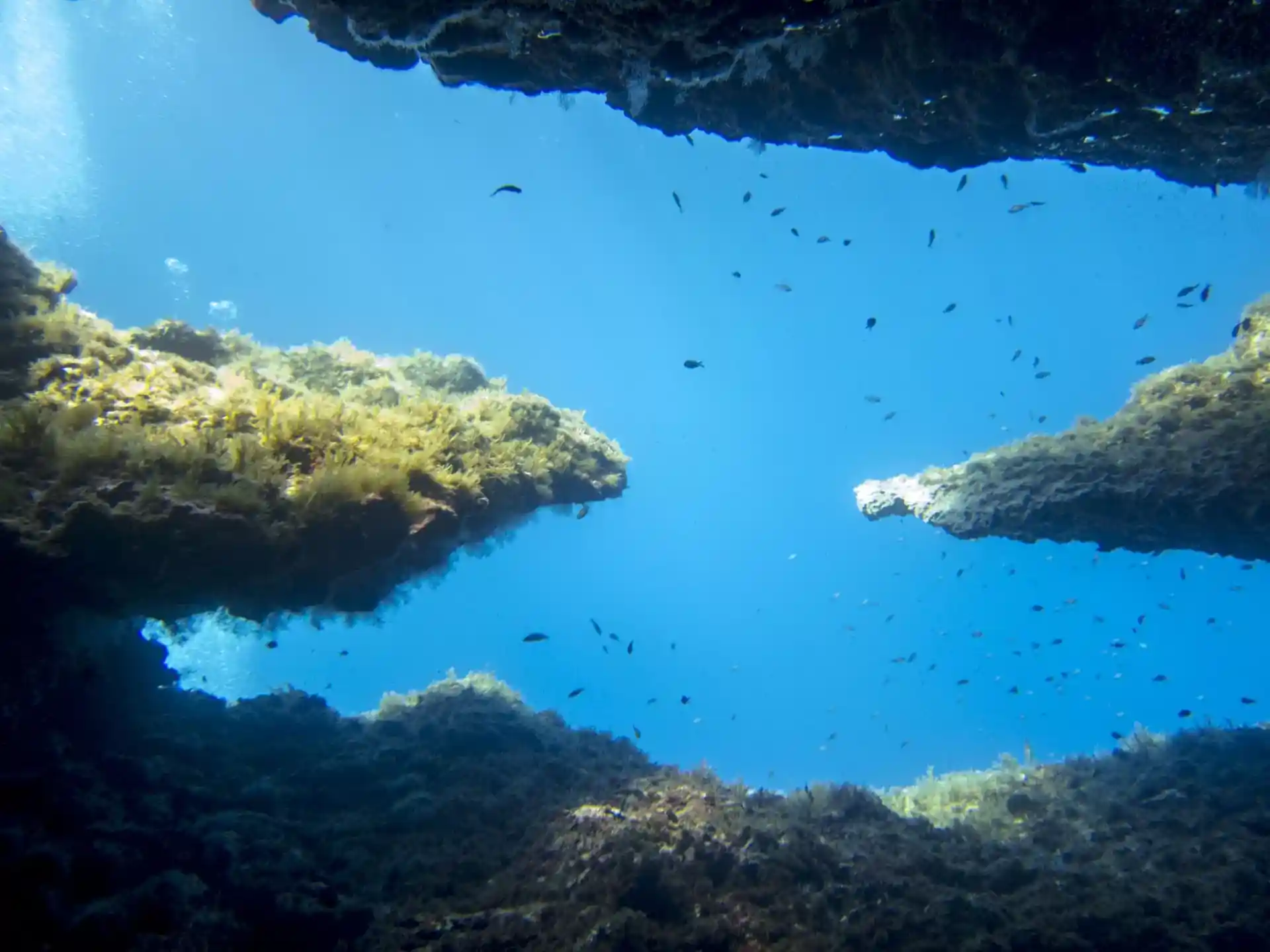 Photo du site de plongée