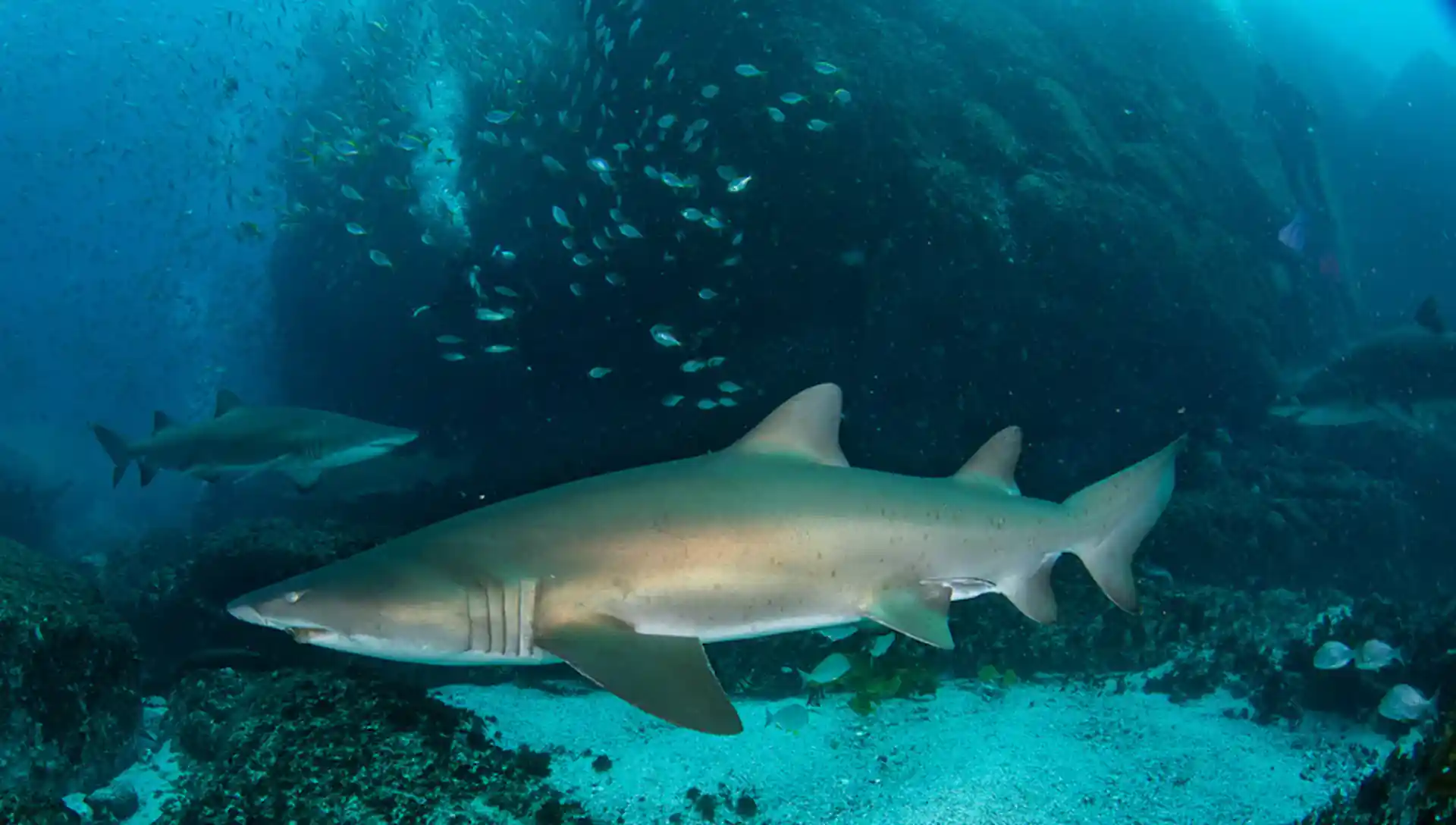 Dive site photo