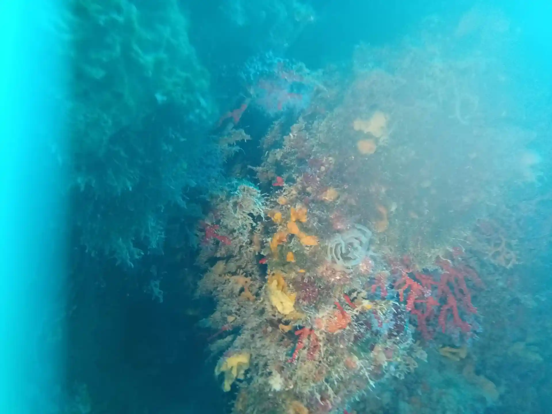 다이빙 포인트 사진