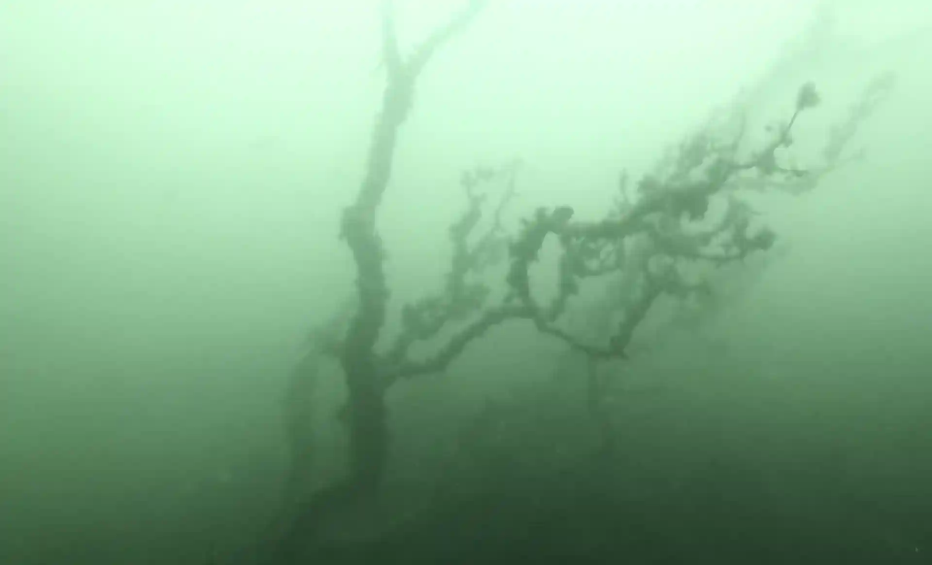 다이빙 포인트 사진