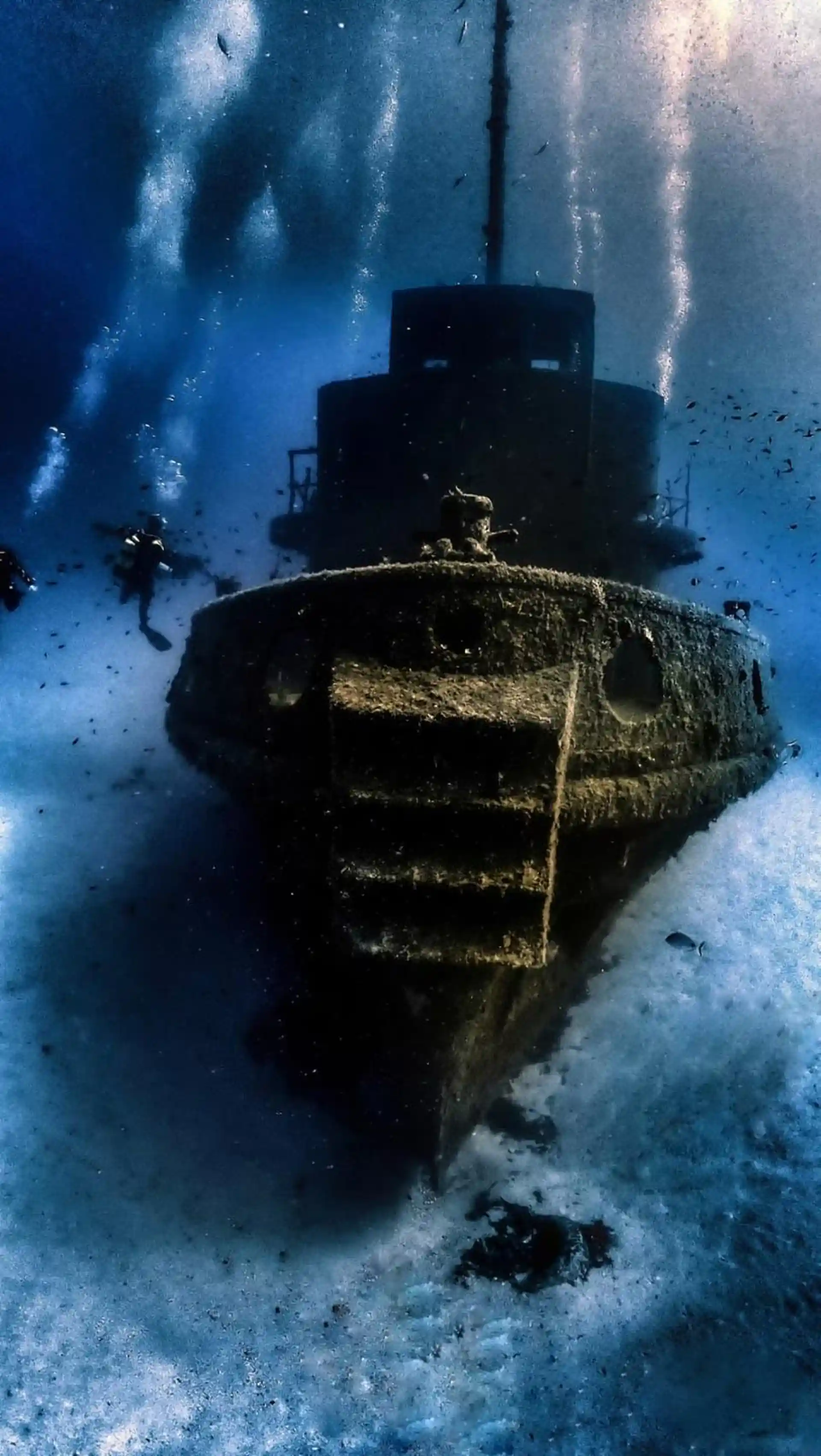 다이빙 포인트 사진