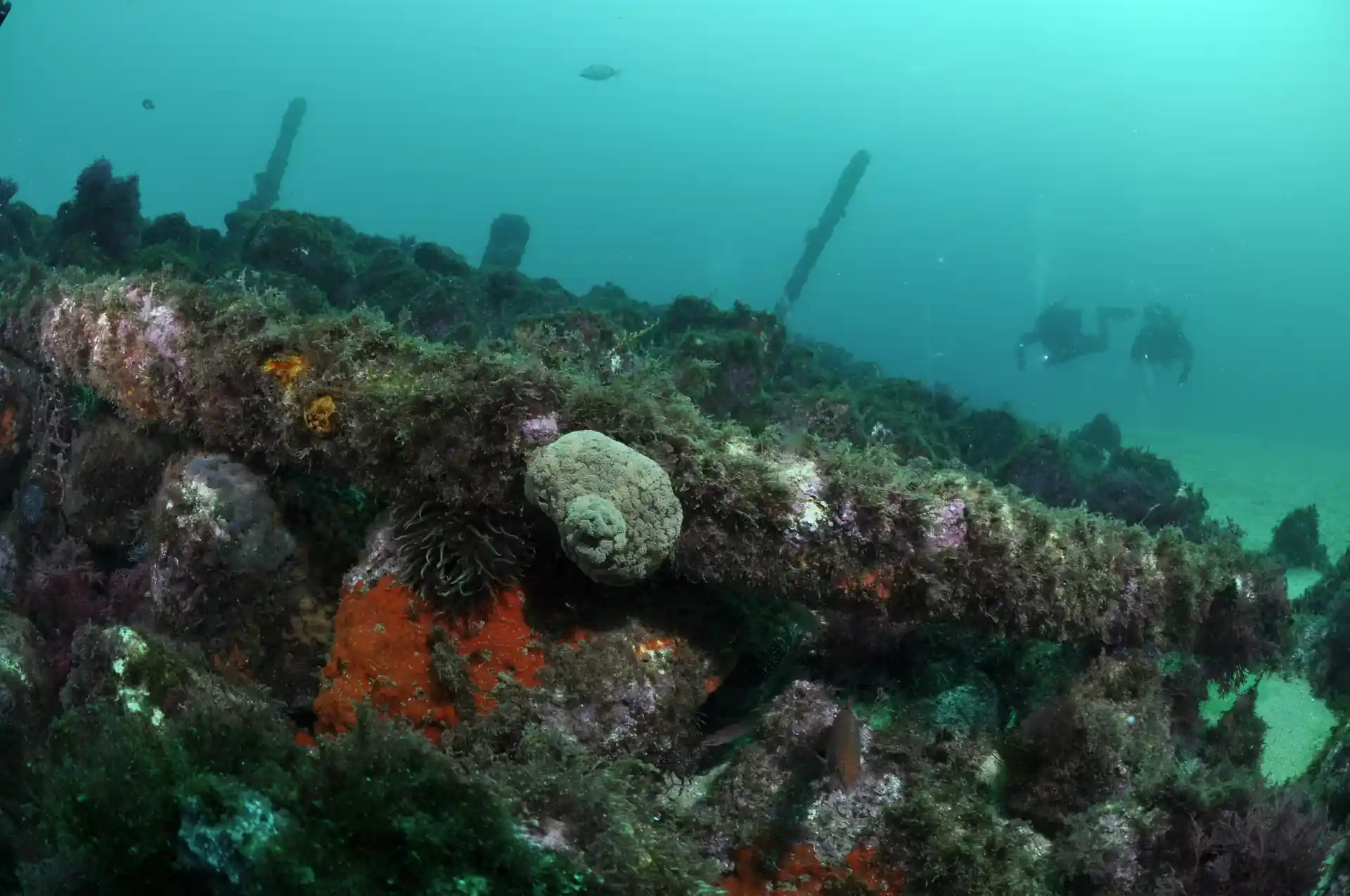 Photo de l'activité