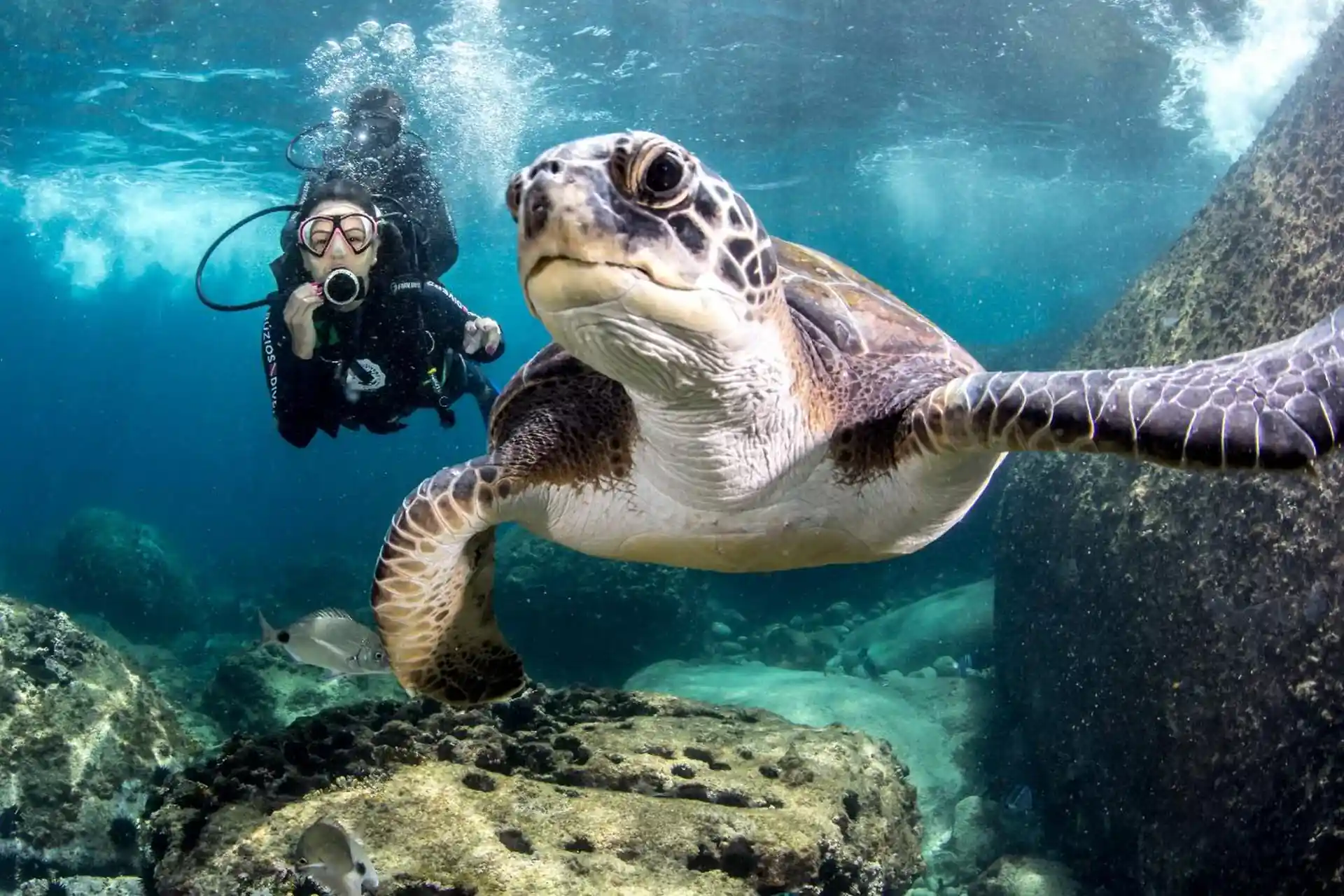 Foto de la tienda de buceo