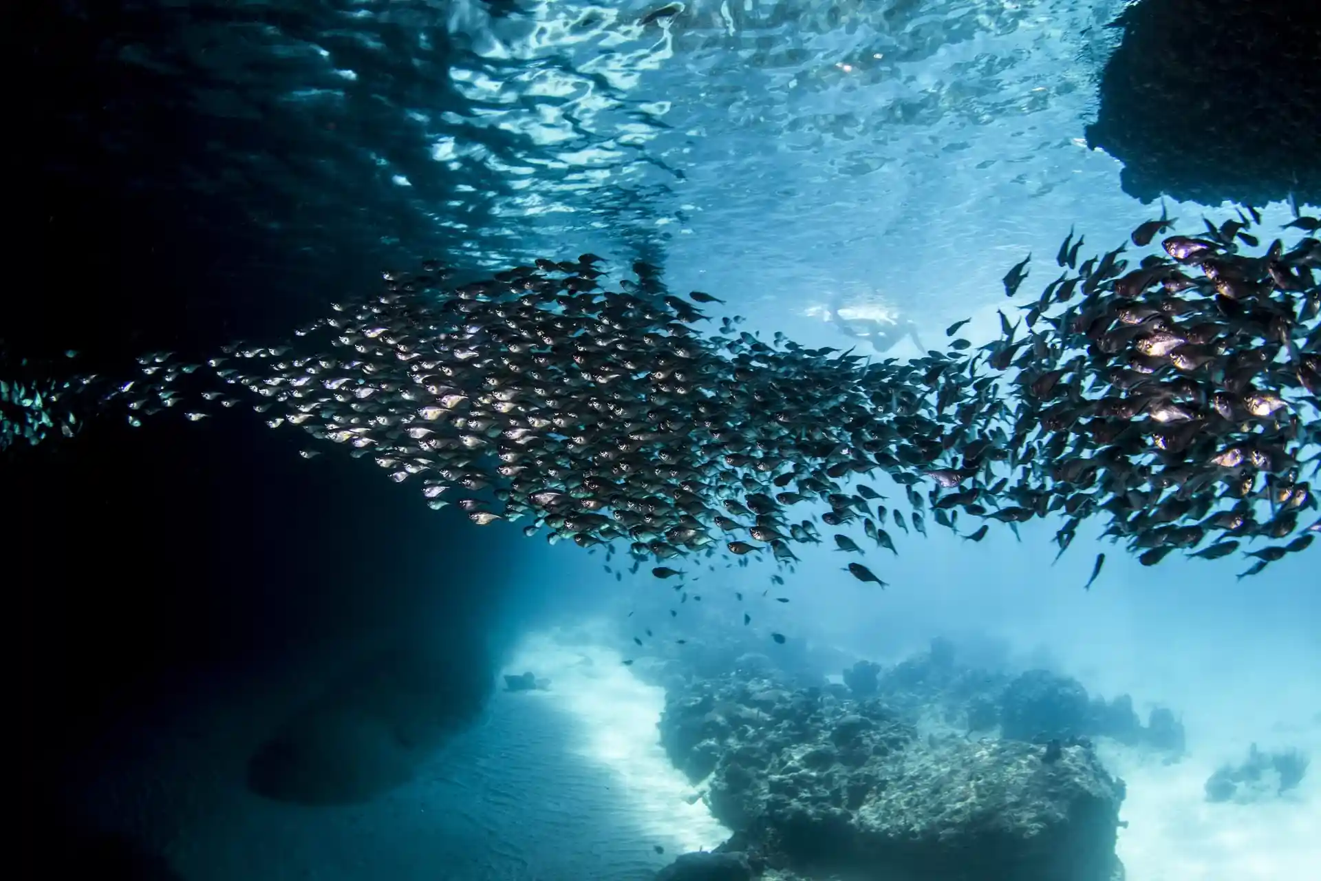 Dive site photo