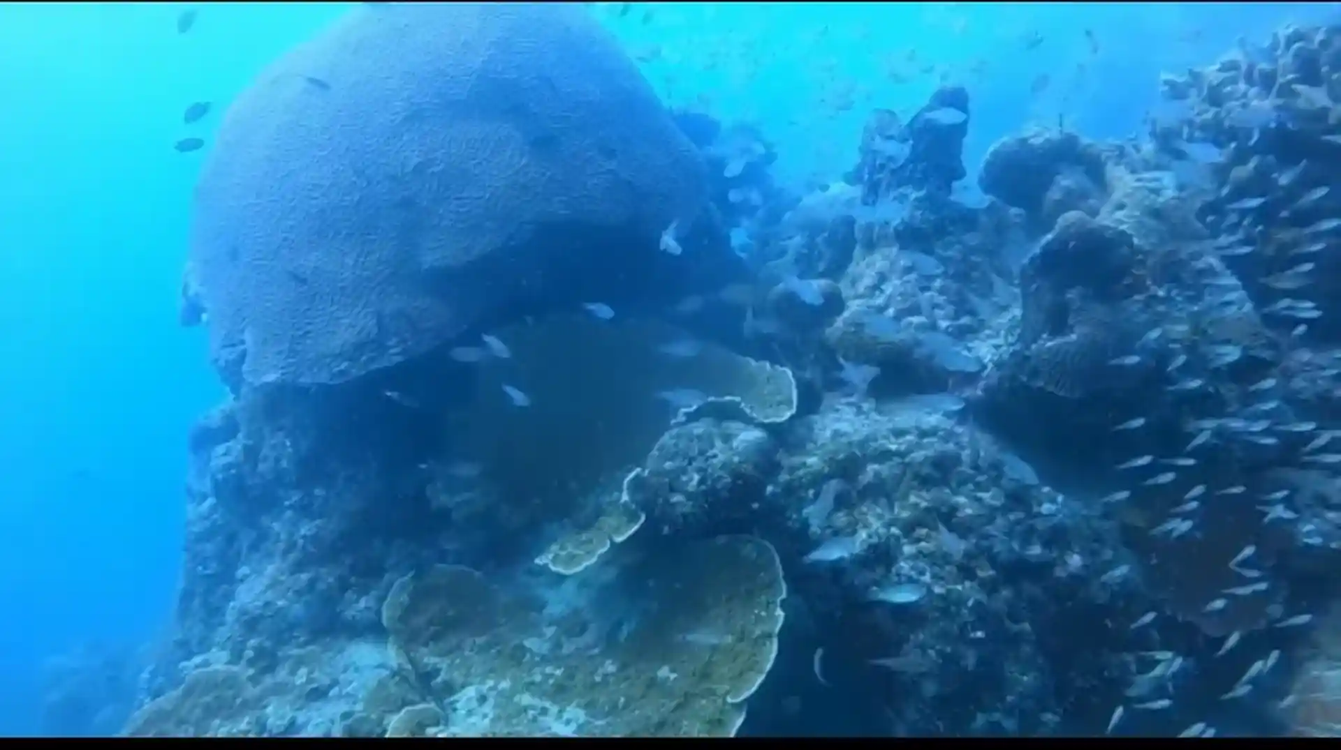 다이빙 포인트 사진