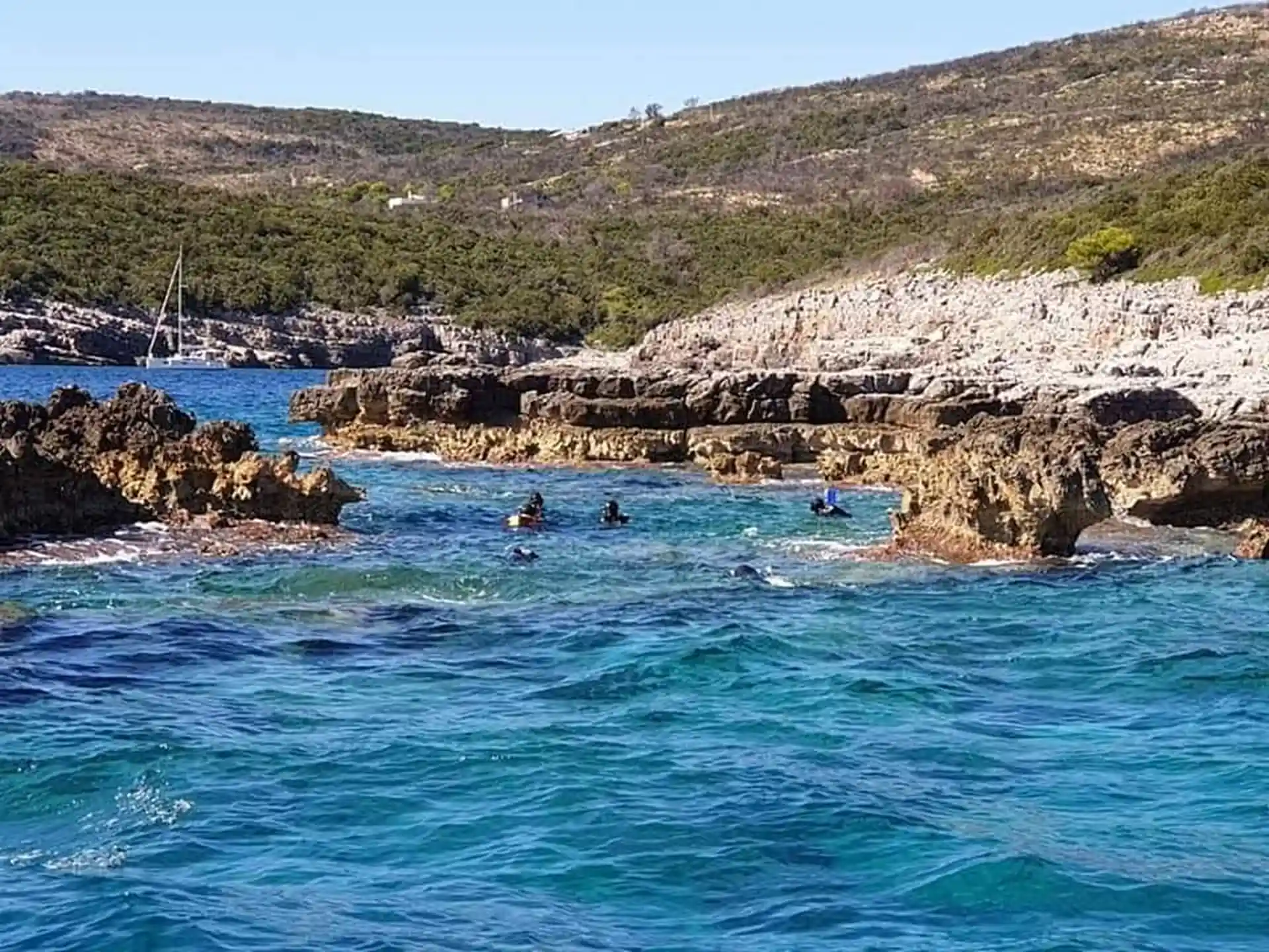 ダイビングサイトの写真