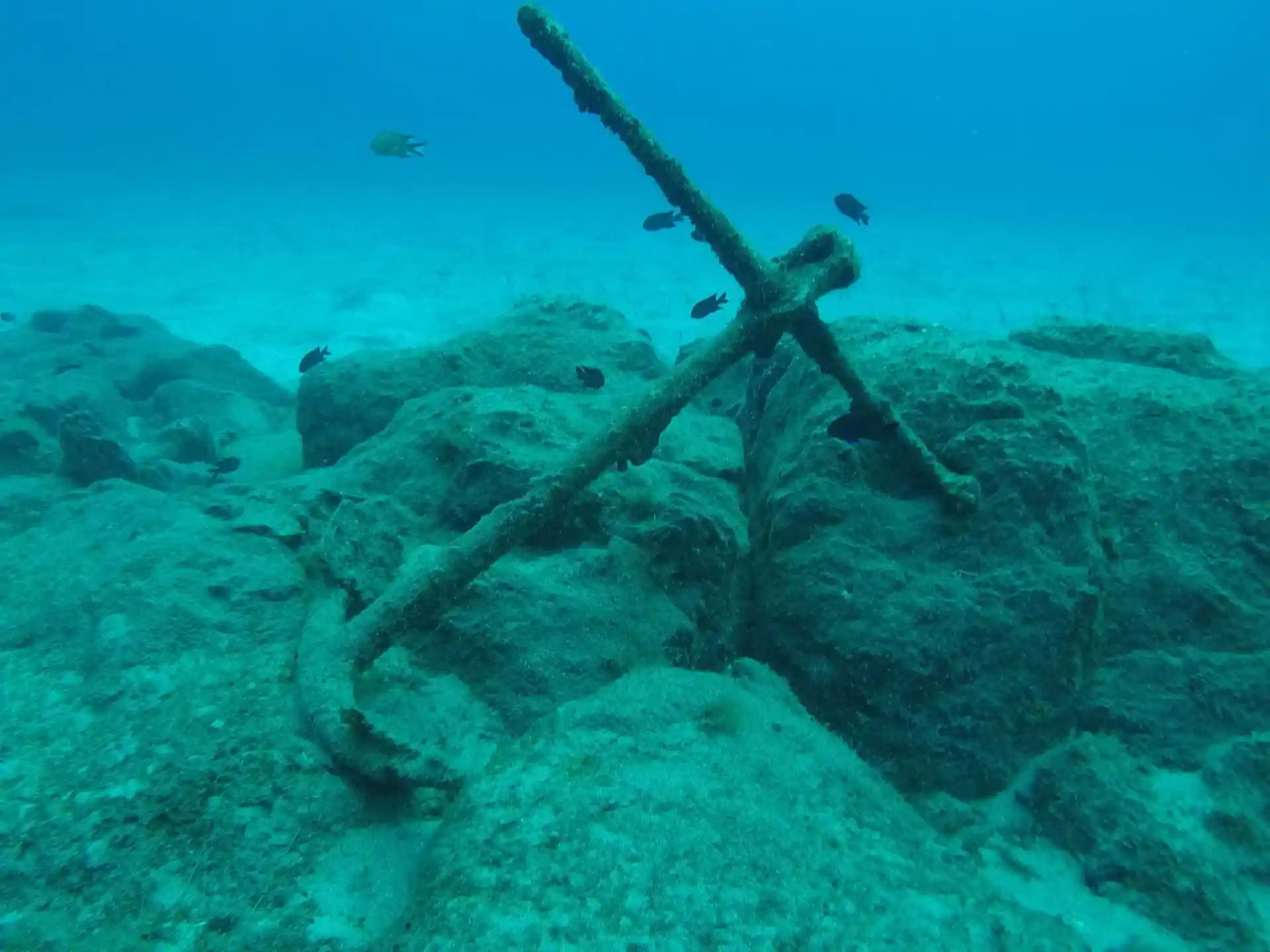 Dive site photo