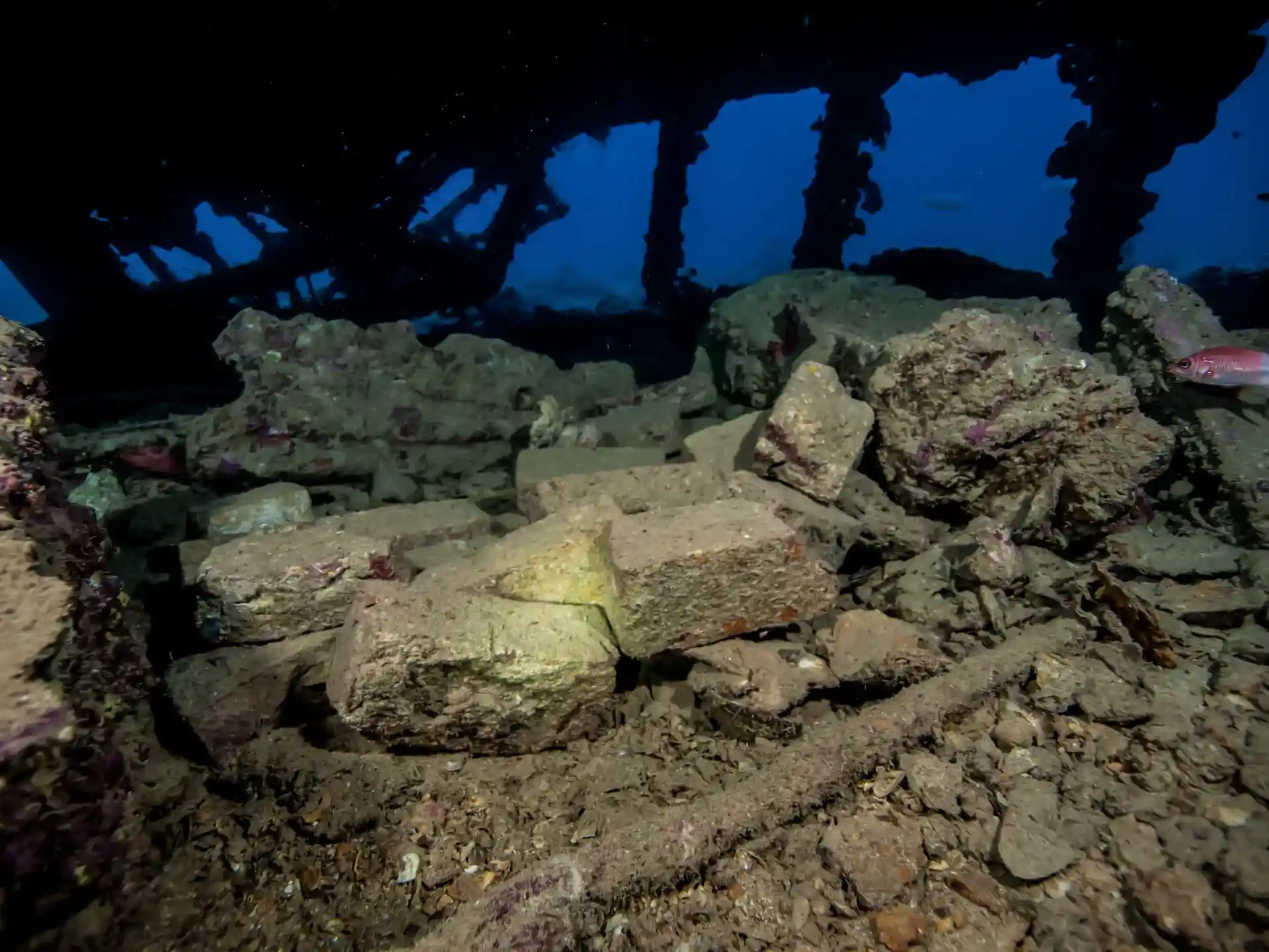 Dive site photo