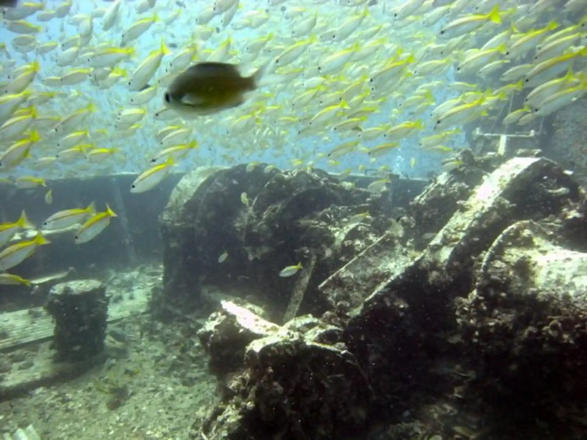 Dive site photo