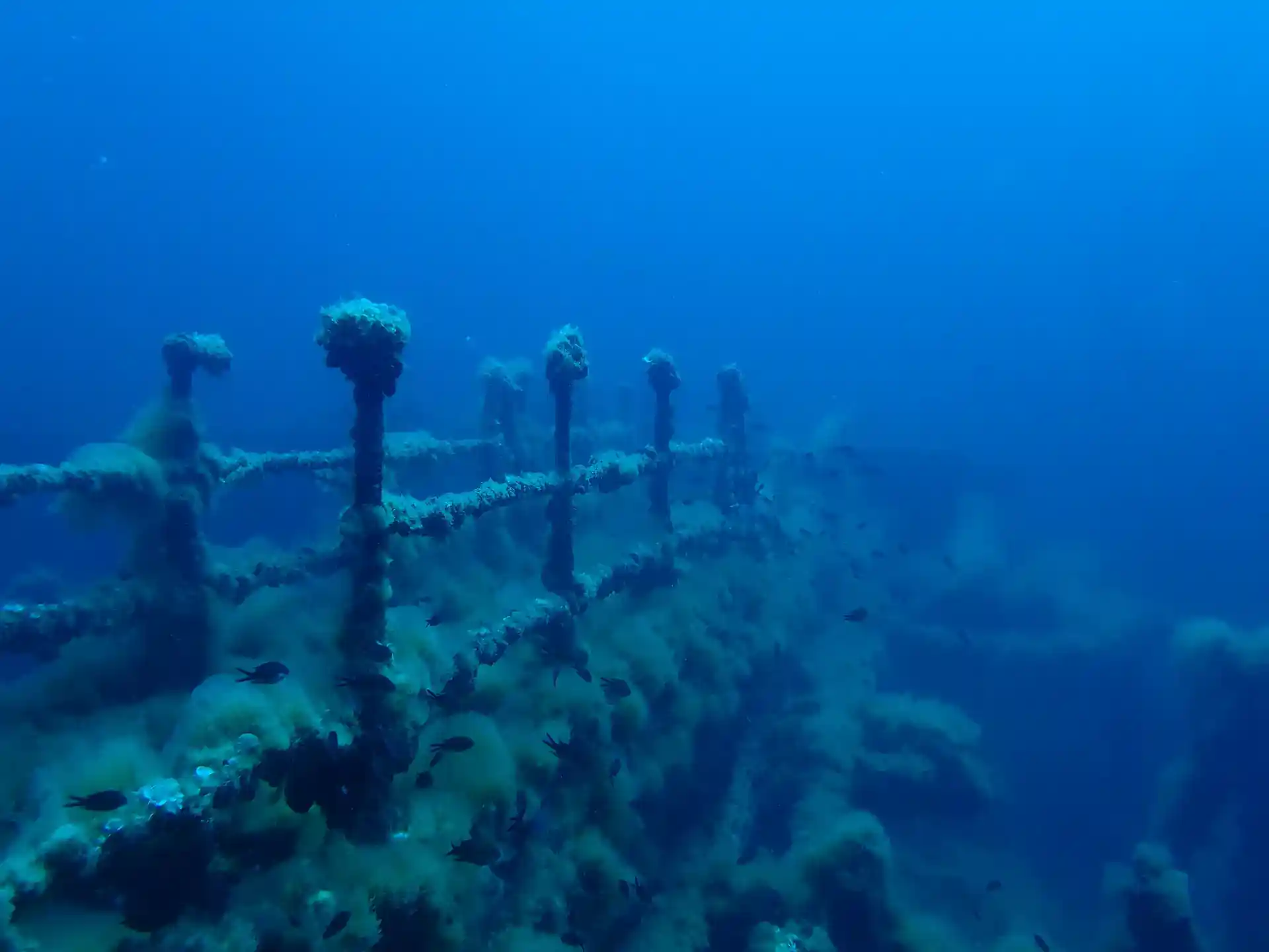 ダイビングサイトの写真