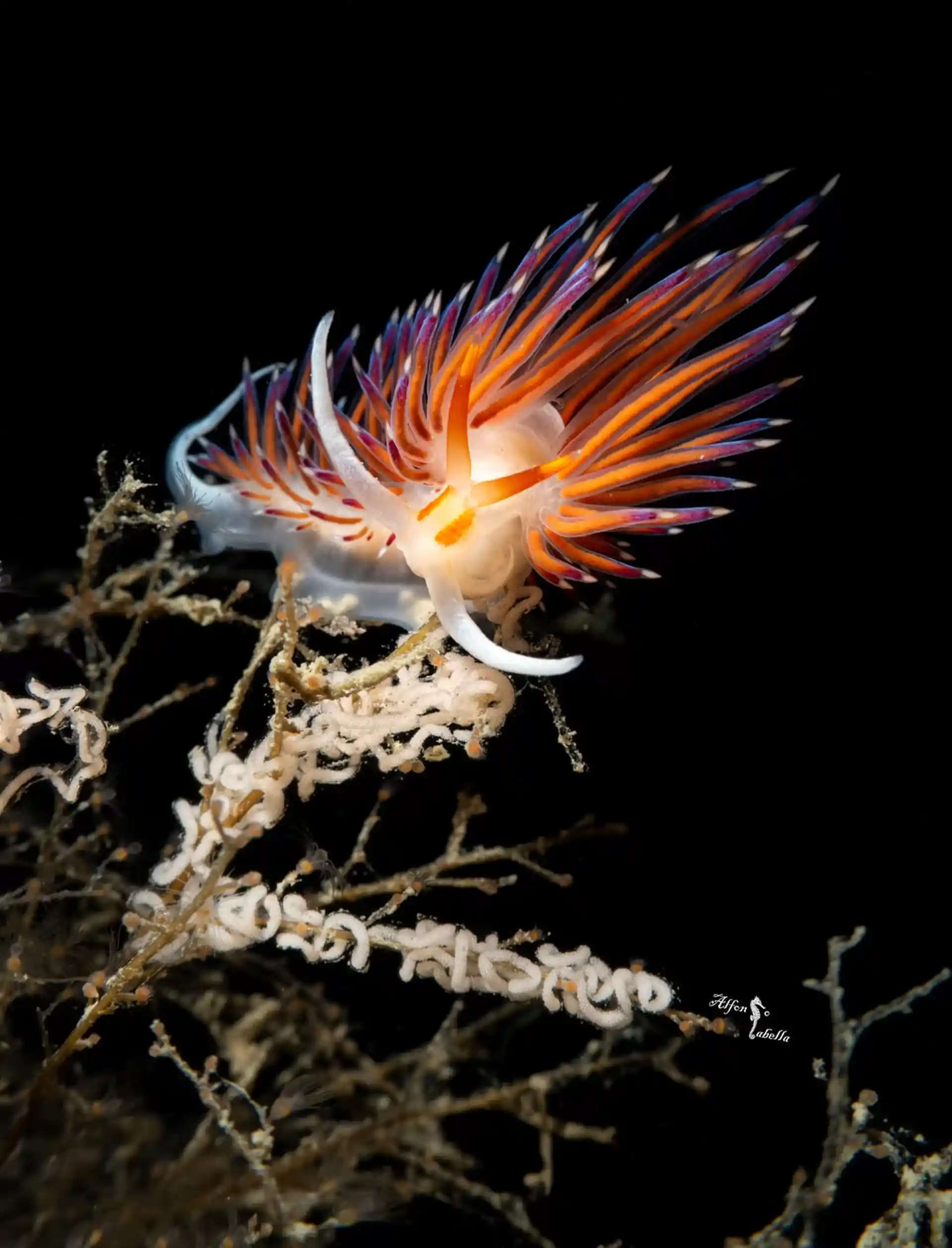 Dive site photo