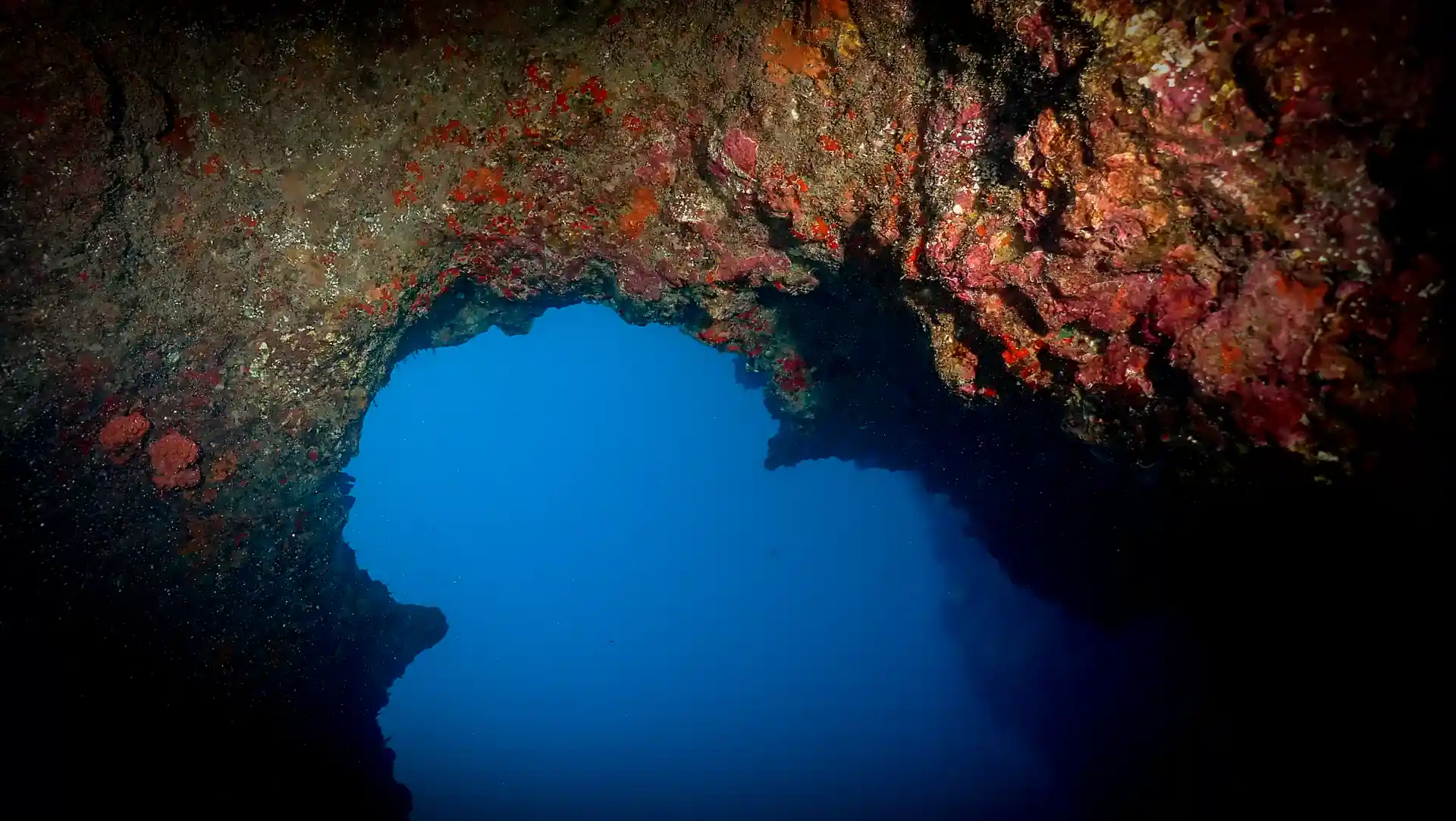 Dive shop photo