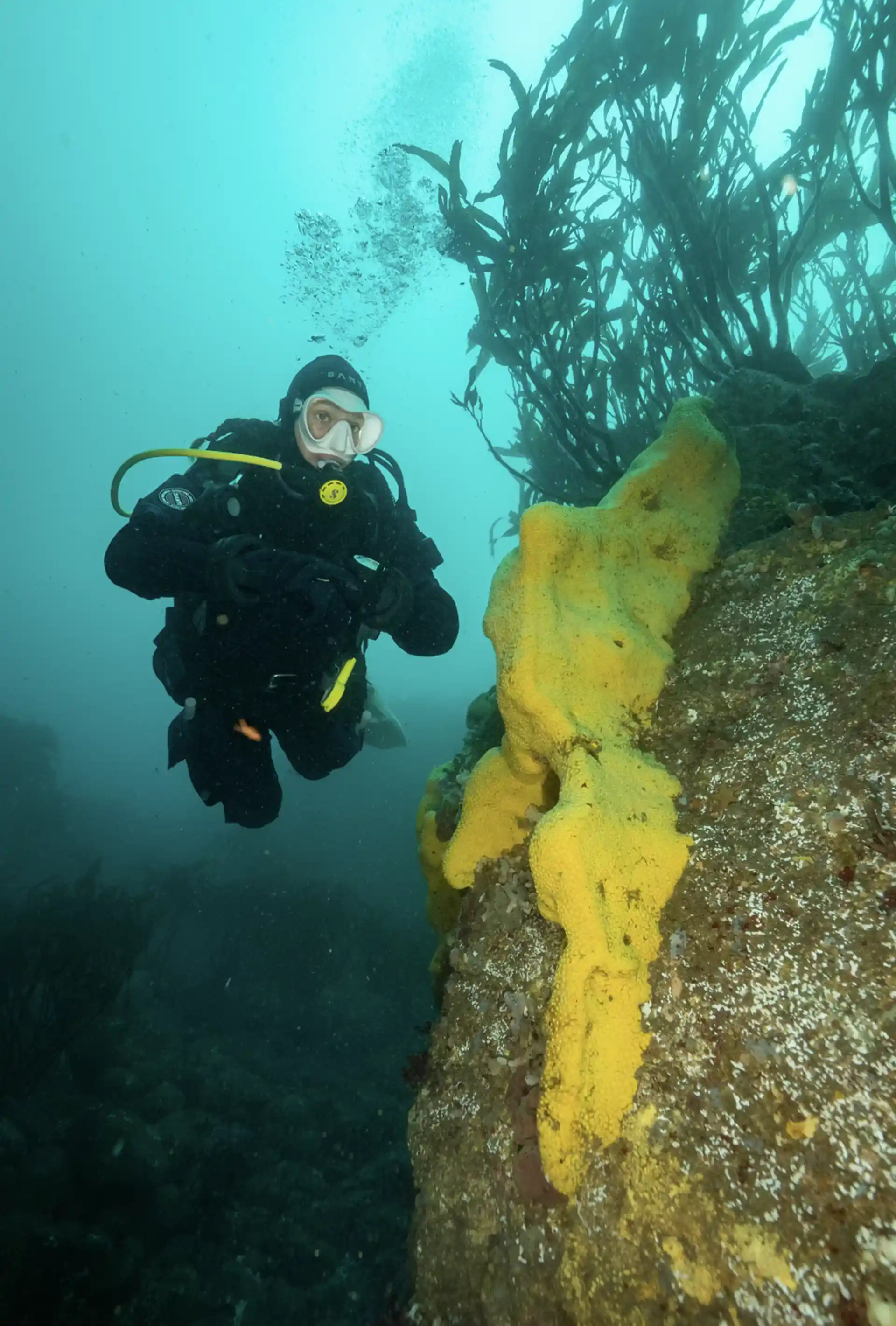 Dive site photo