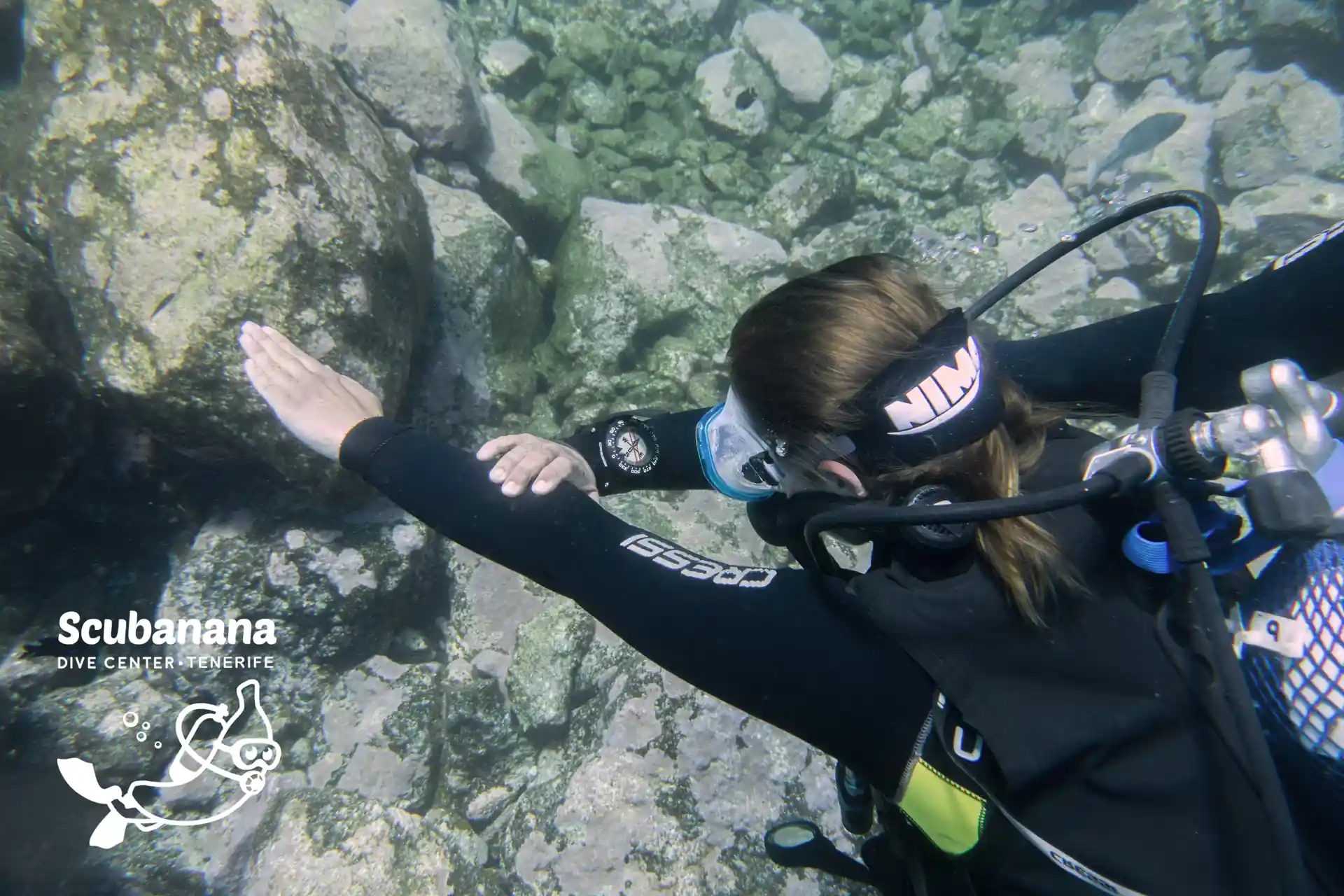 Photo de l'activité