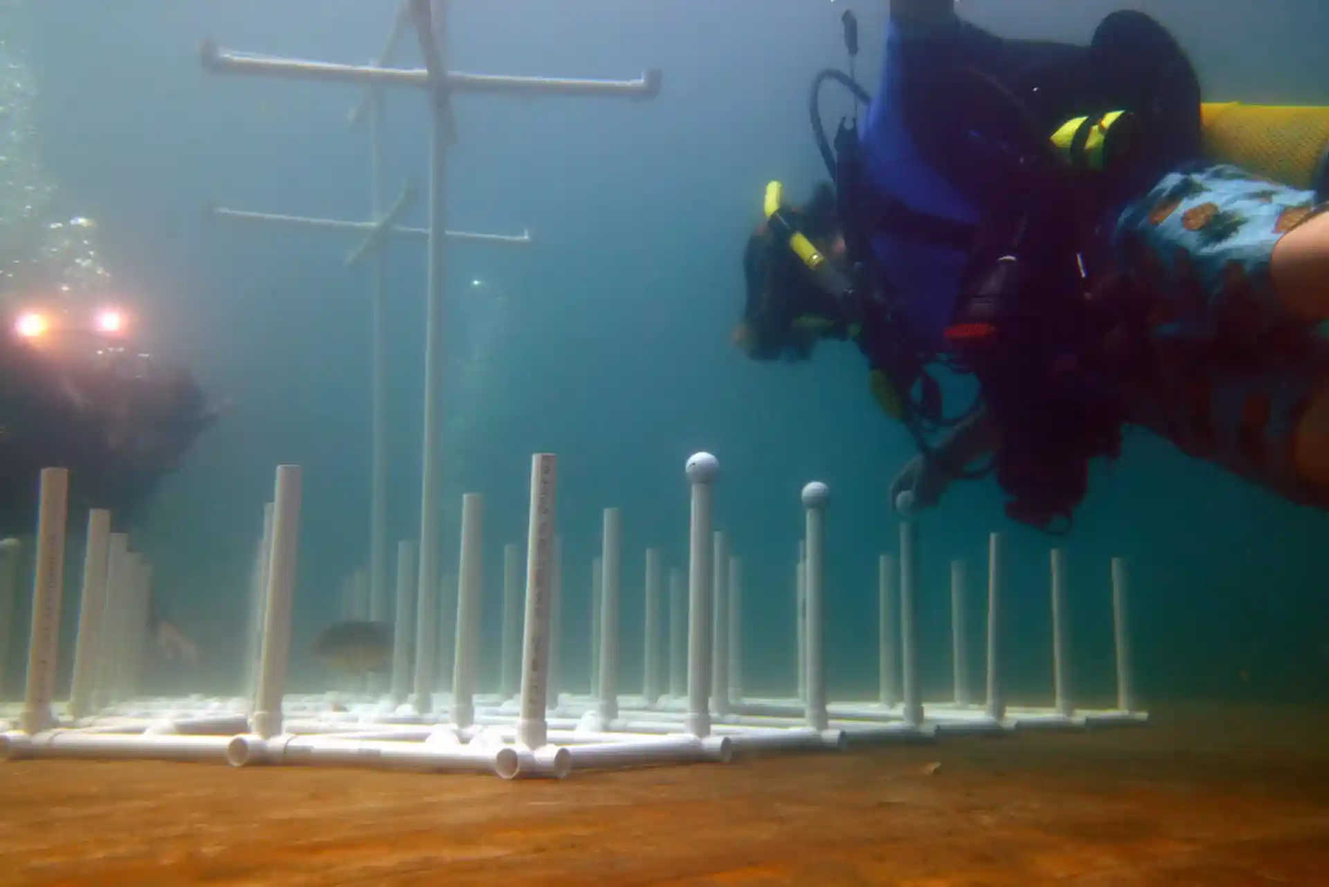 Photo du site de plongée