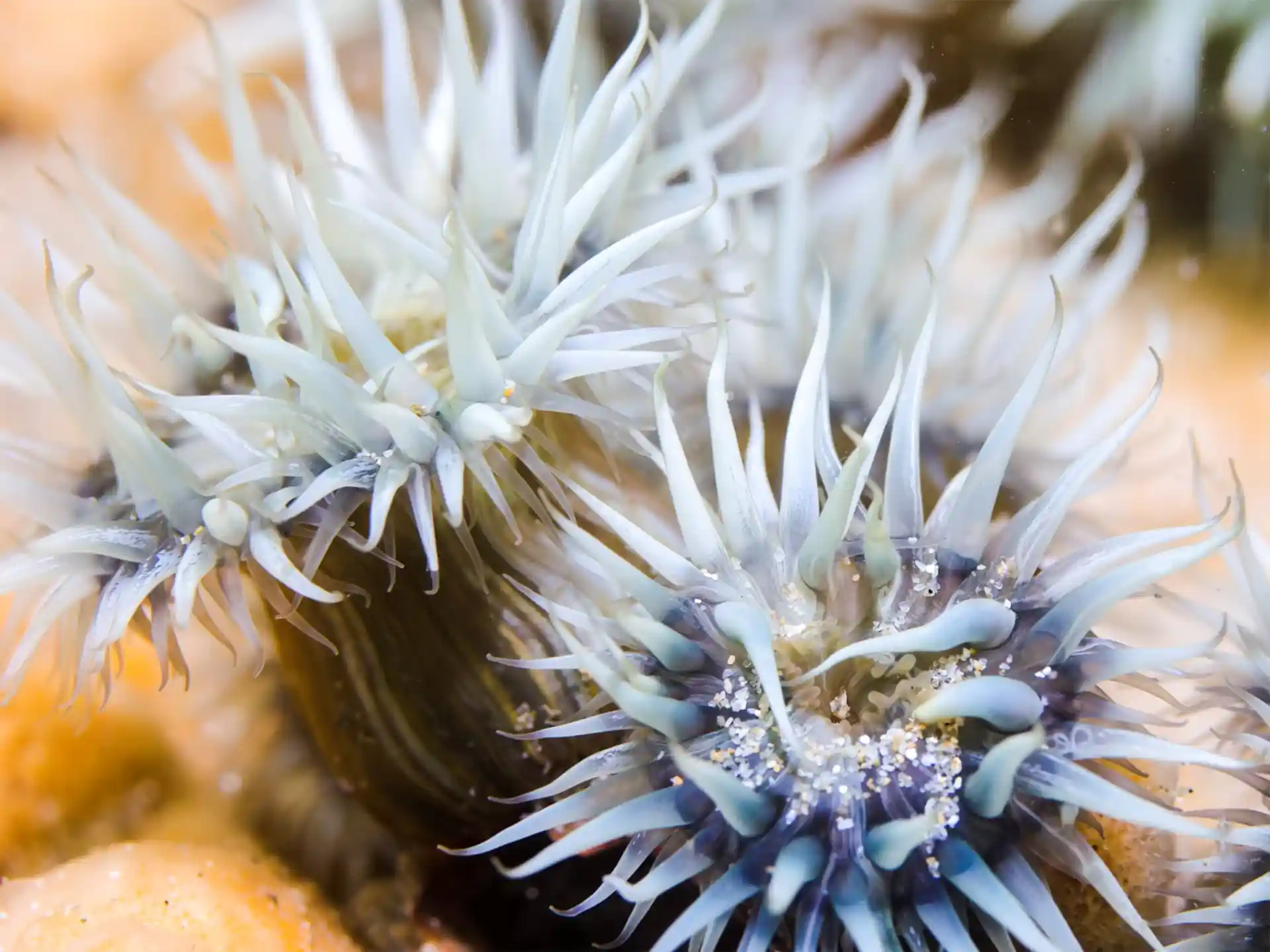 ダイビングサイトの写真