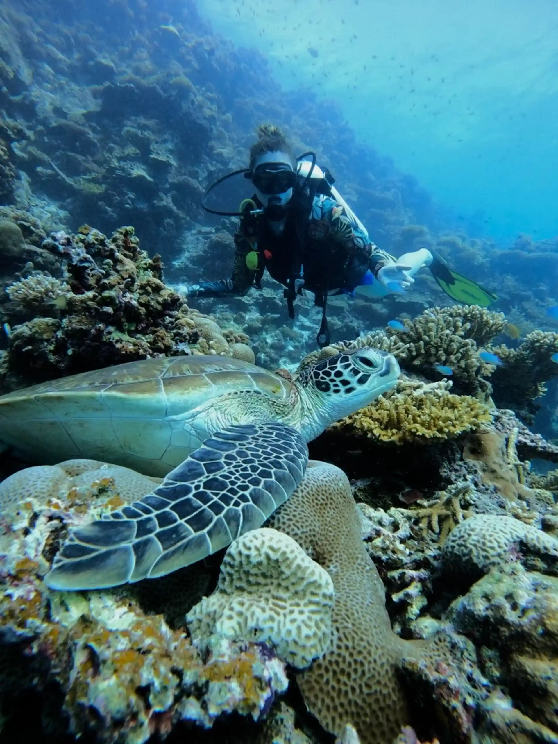 Photo du site de plongée