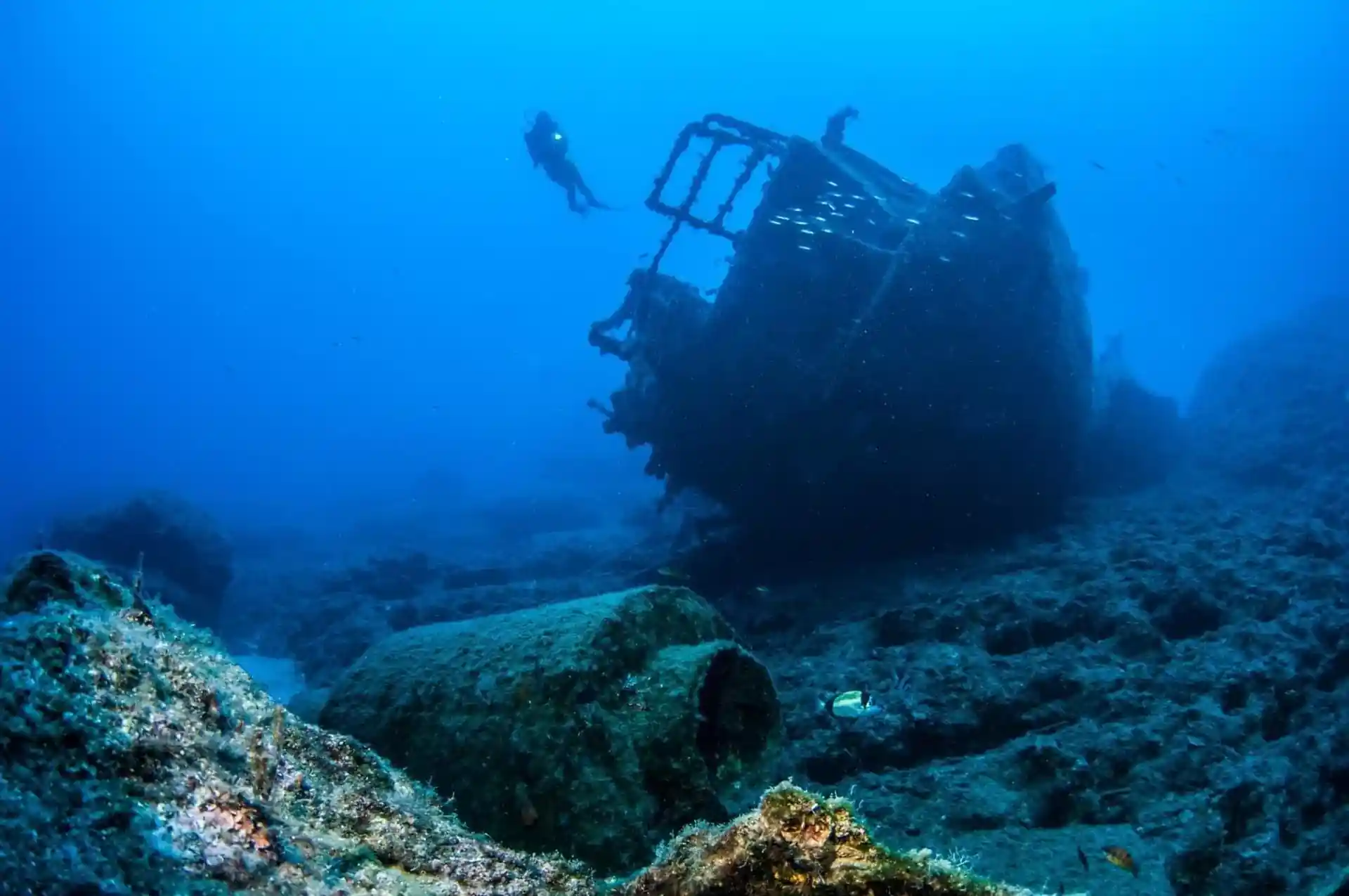 Whether purpose-sunk as an artificial reef for scuba divers, or lost as the result of an accident, wrecks are fascinating windows to the past. Ships, airplanes and even cars are fascinating to explore and usually teem with aquatic life.