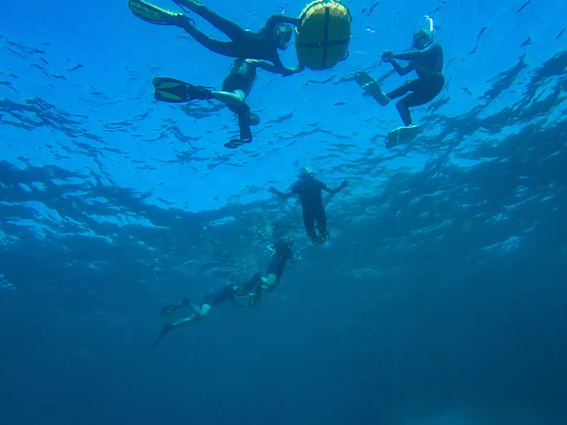 Exploring calm, crystal-clear Atlantic waters